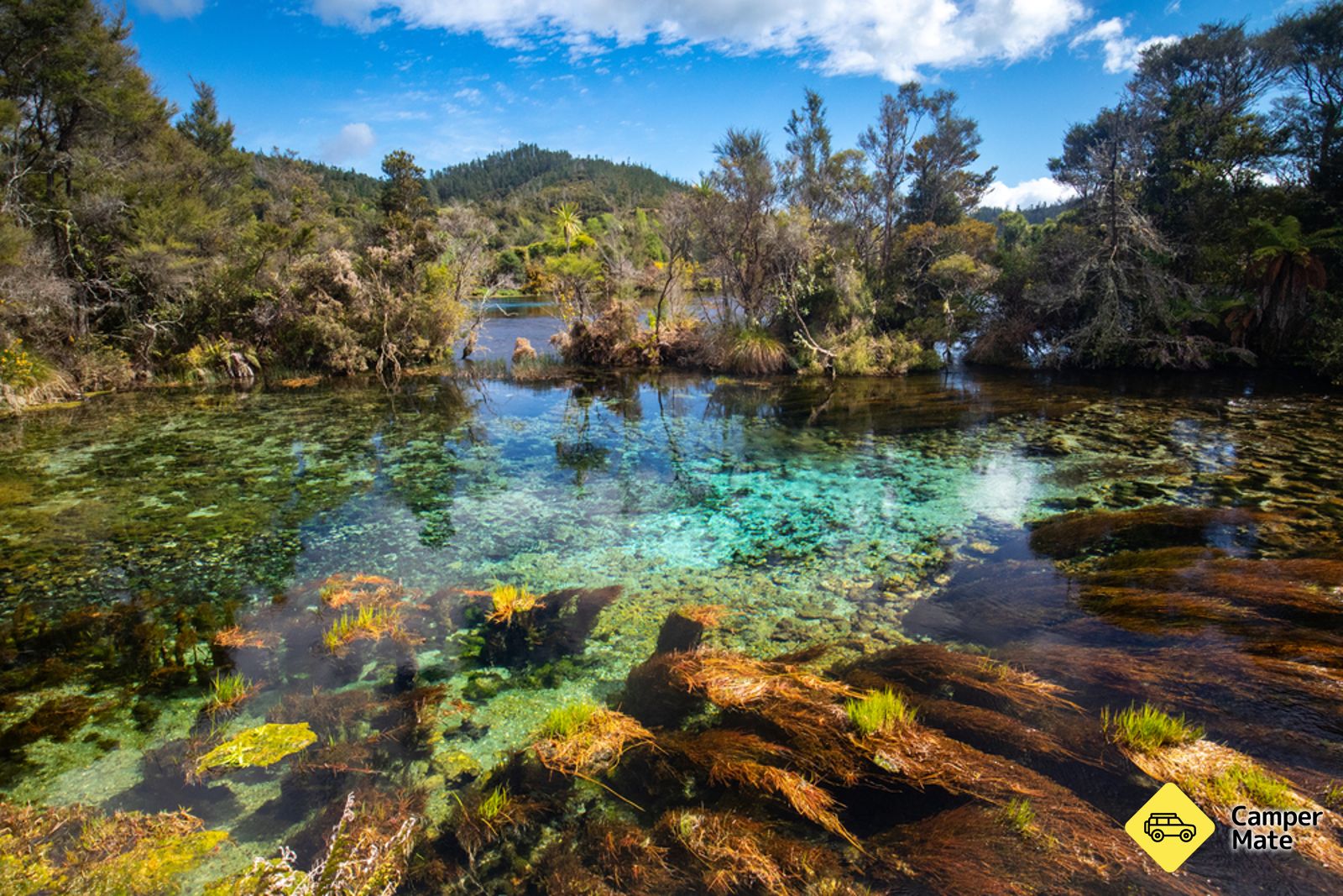 Te Waikoropupu Springs