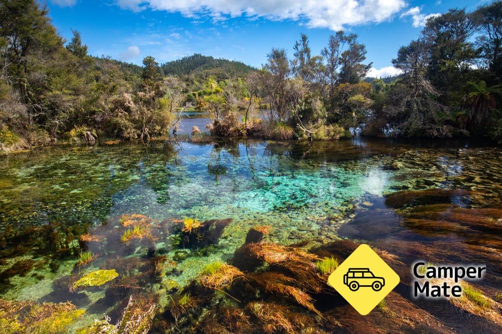 Te Waikoropupu Springs - Image 3