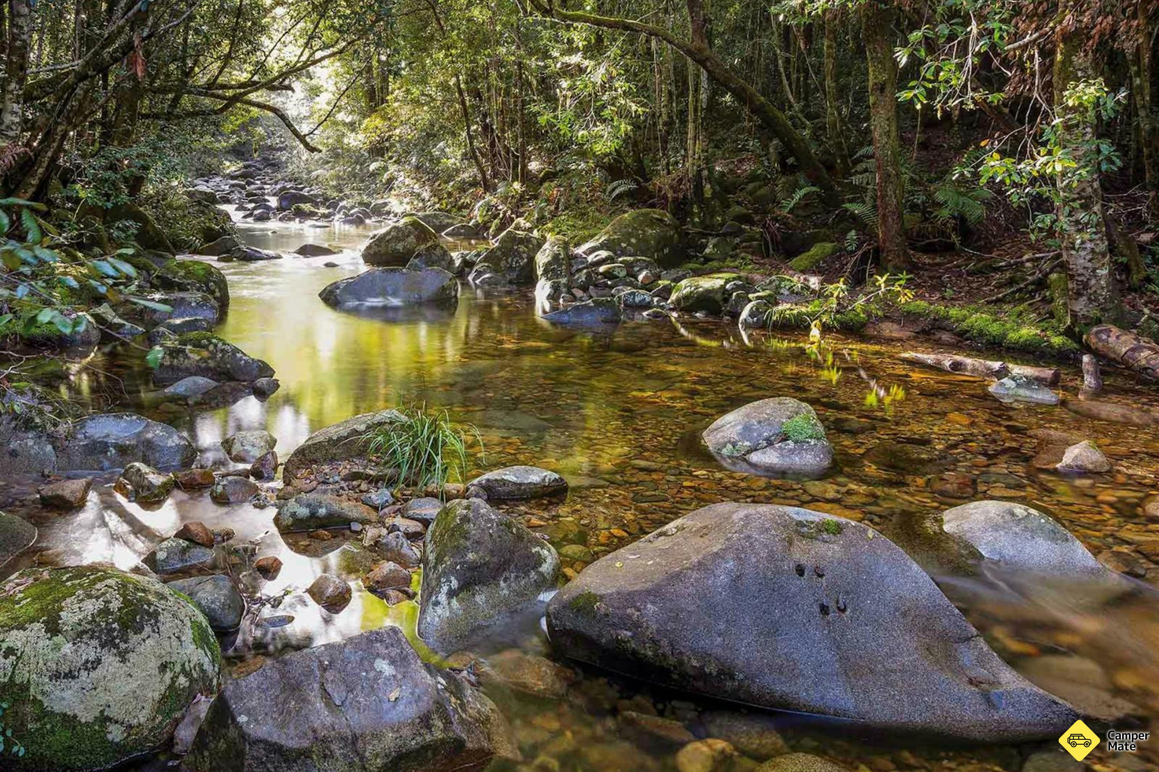Washpool Walk - Image 2