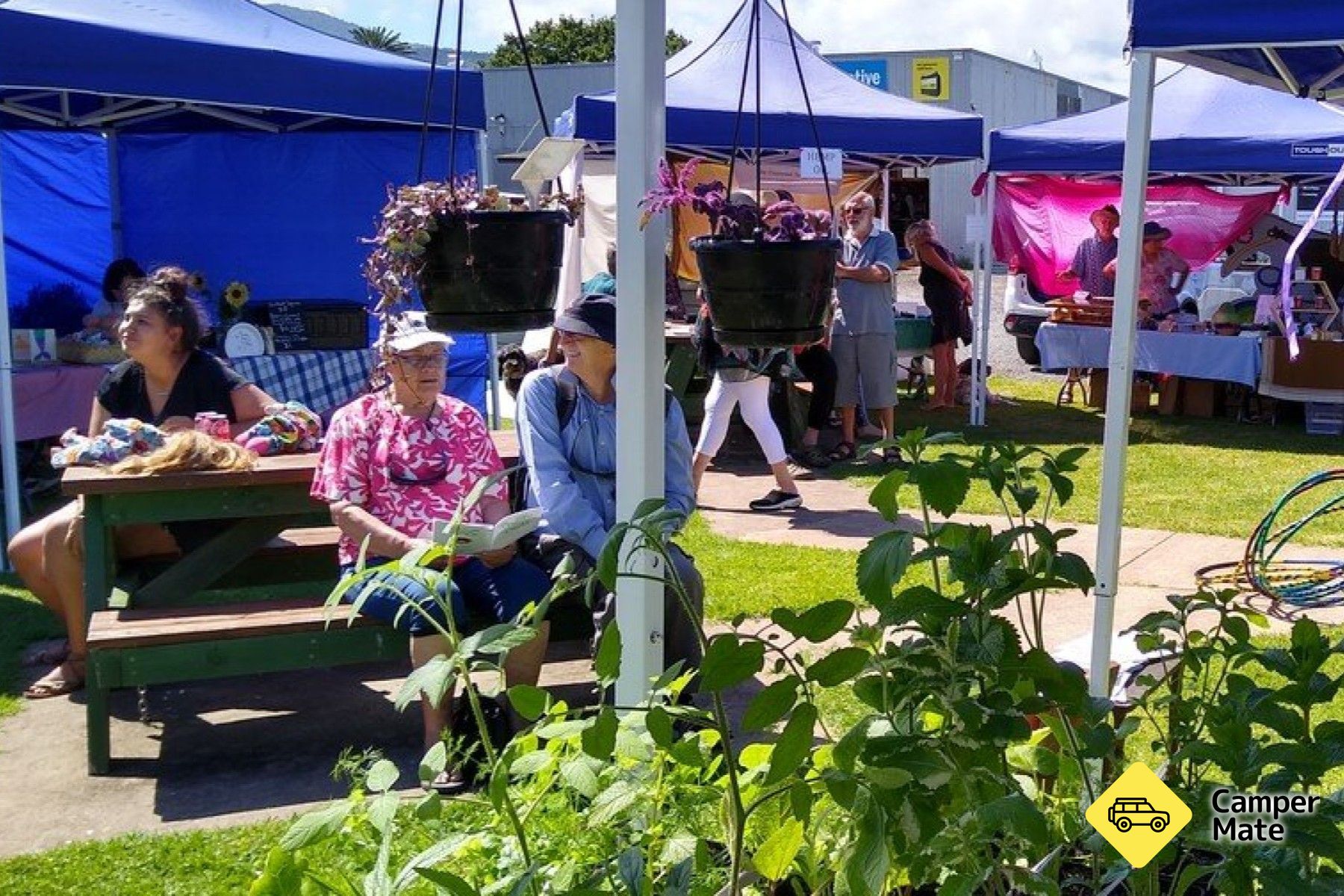 Coromandel Town Homegrown Community Market
