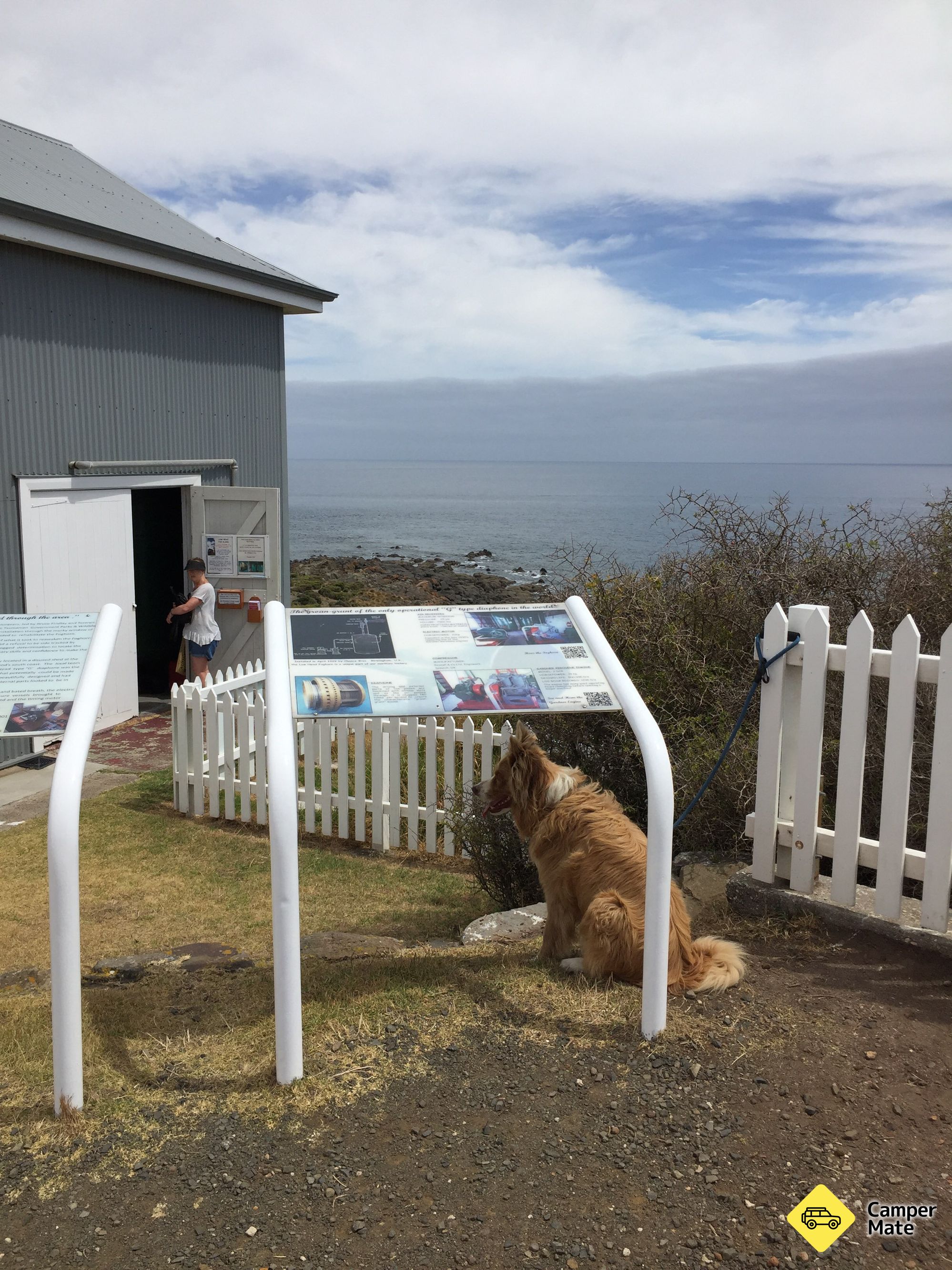 Low Head Foghorn - Image 3