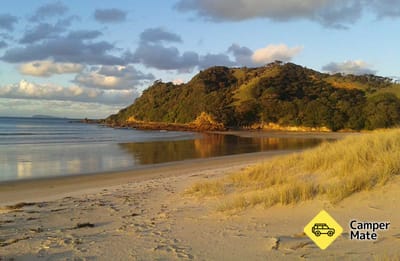 Waikawau Bay Campsite