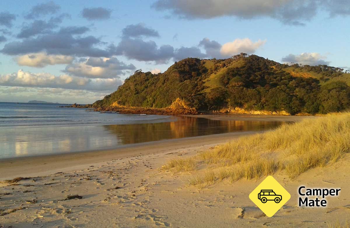 Waikawau Bay Campsite