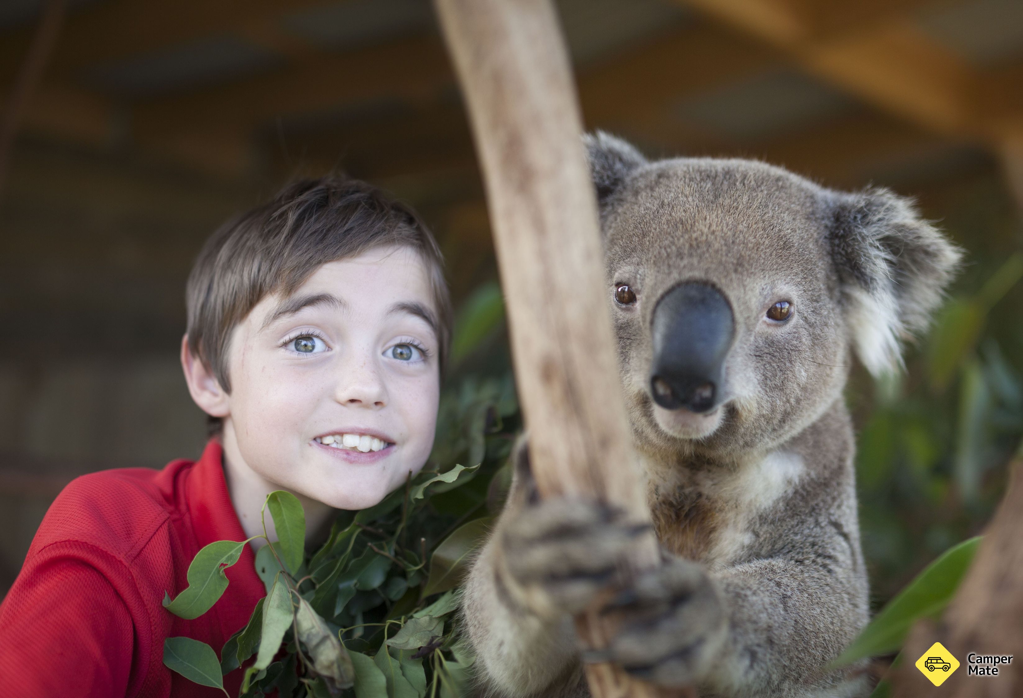 Symbio Wildlife Park