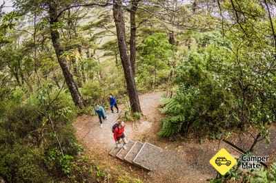 East Harbour Regional Park