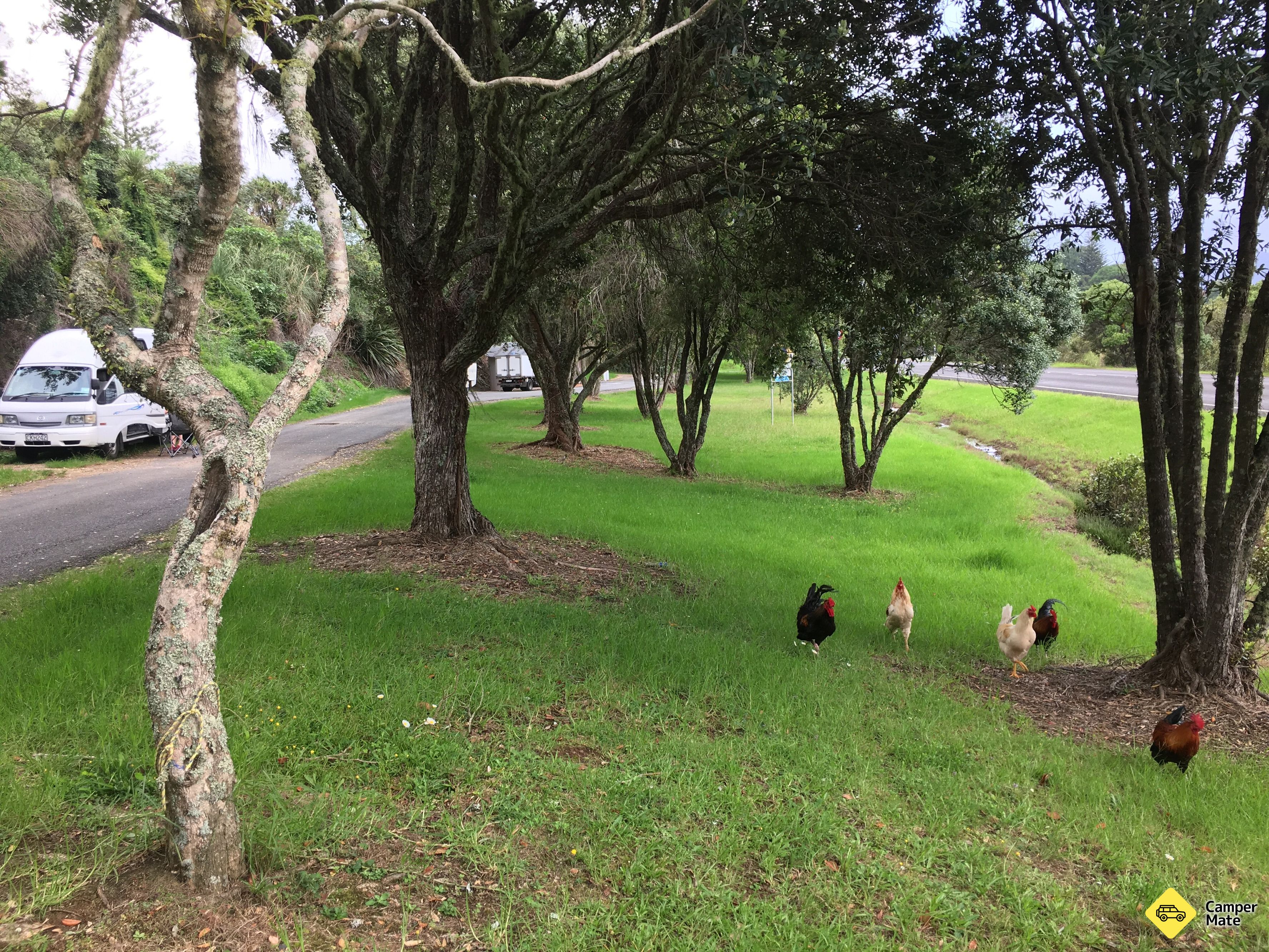 Mangonui Lions Park - Image 2