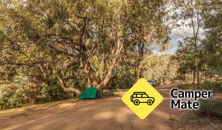 Jacobs River - Tongaroo Campground