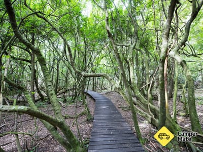 Ferntree Gully Reserve