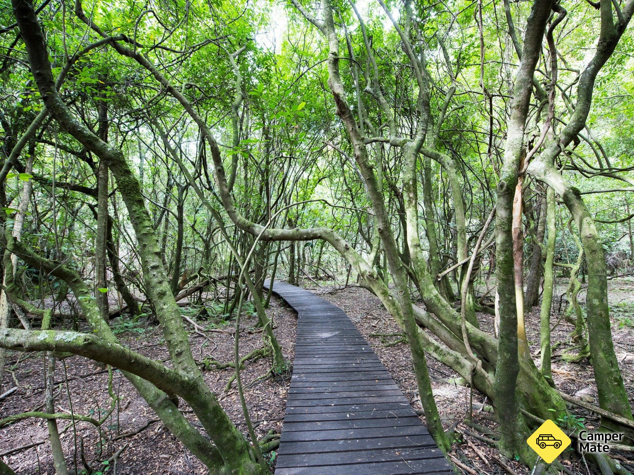 Penginapan di Ferntree Gully Reserve
