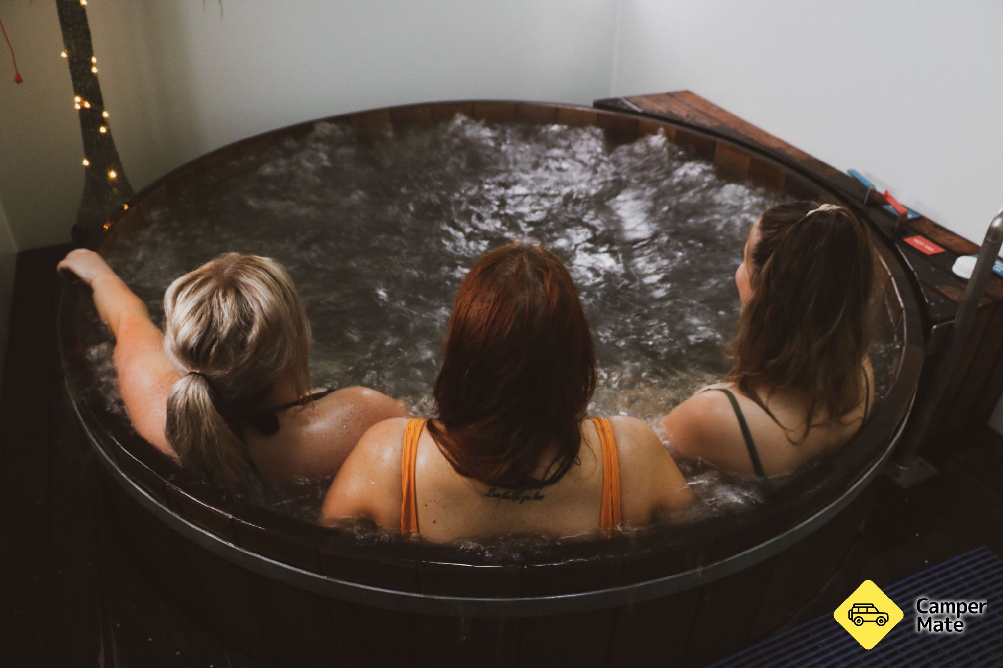 Te Aroha Mineral Spas - Image 2