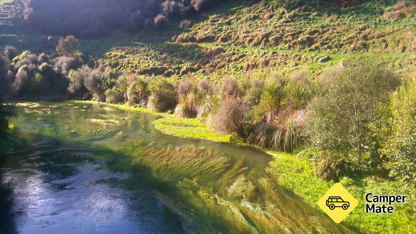 Te Waihou Walkway - Image 3