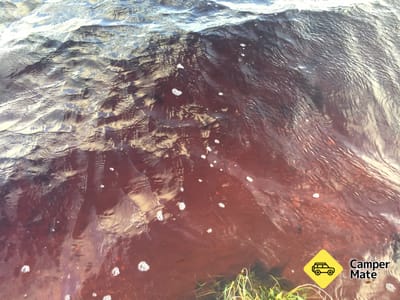 Coca Cola Lake