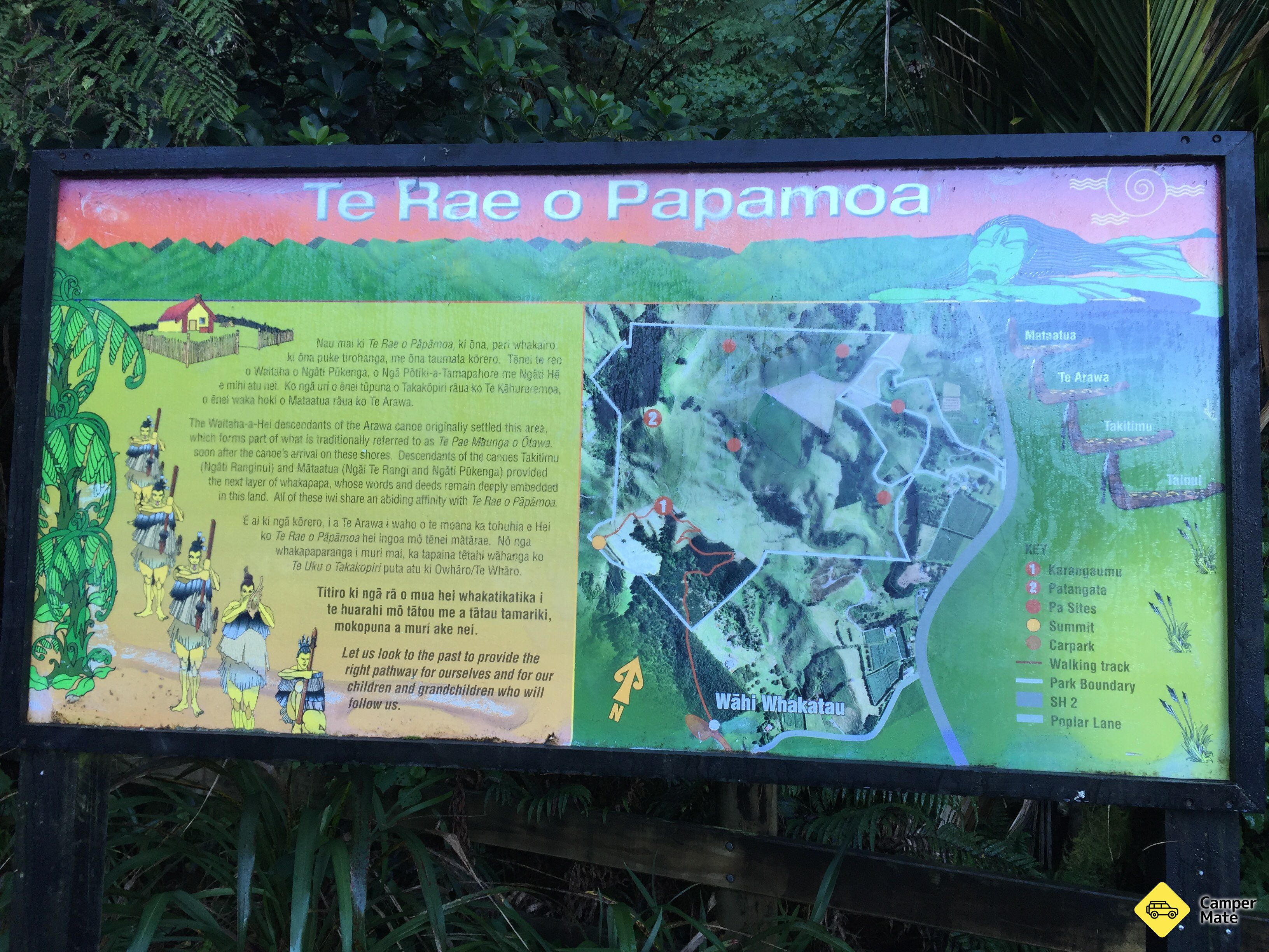 Papamoa Hill Walk - Image 2