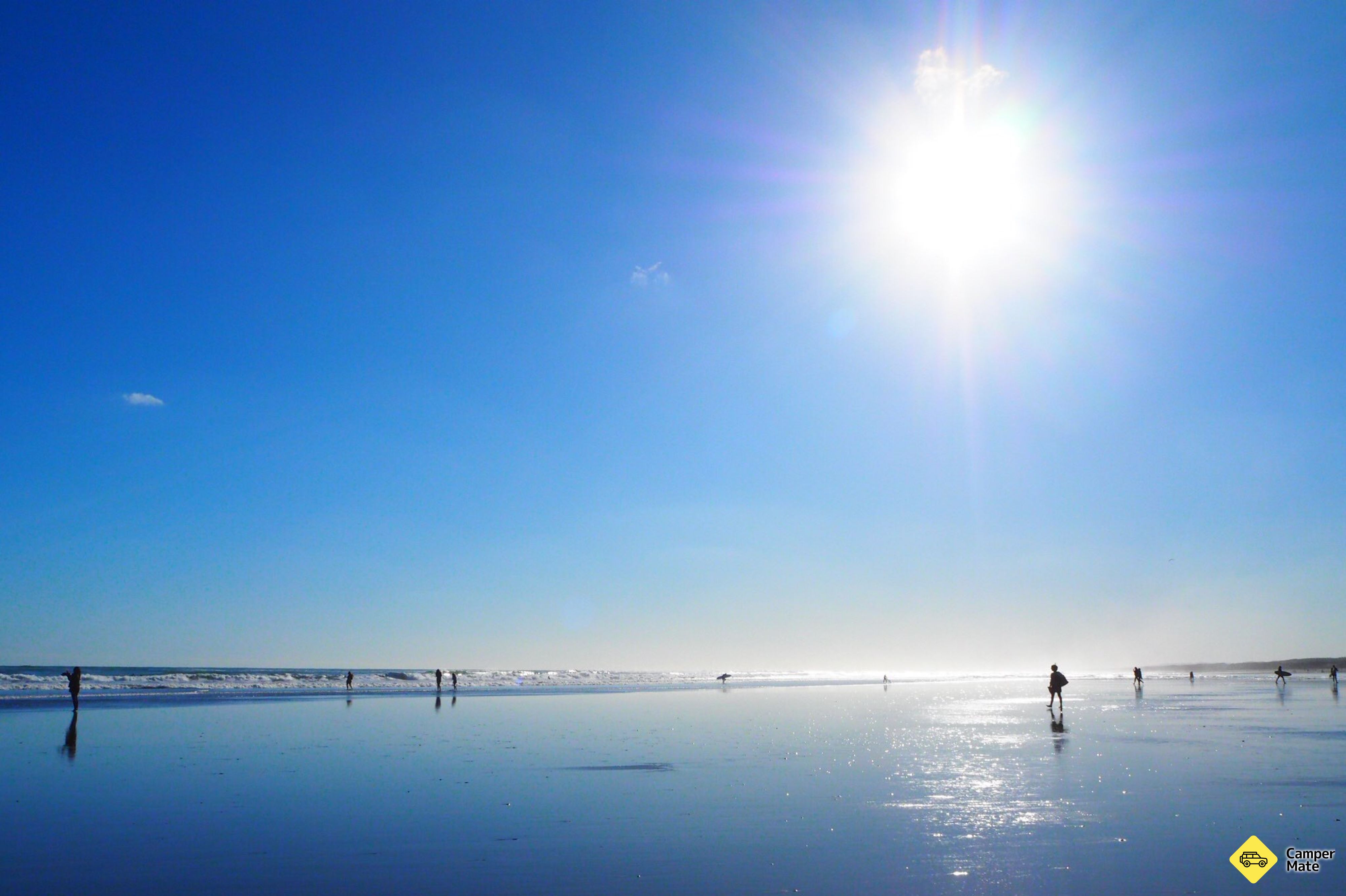 Muriwai Beach - Image 3