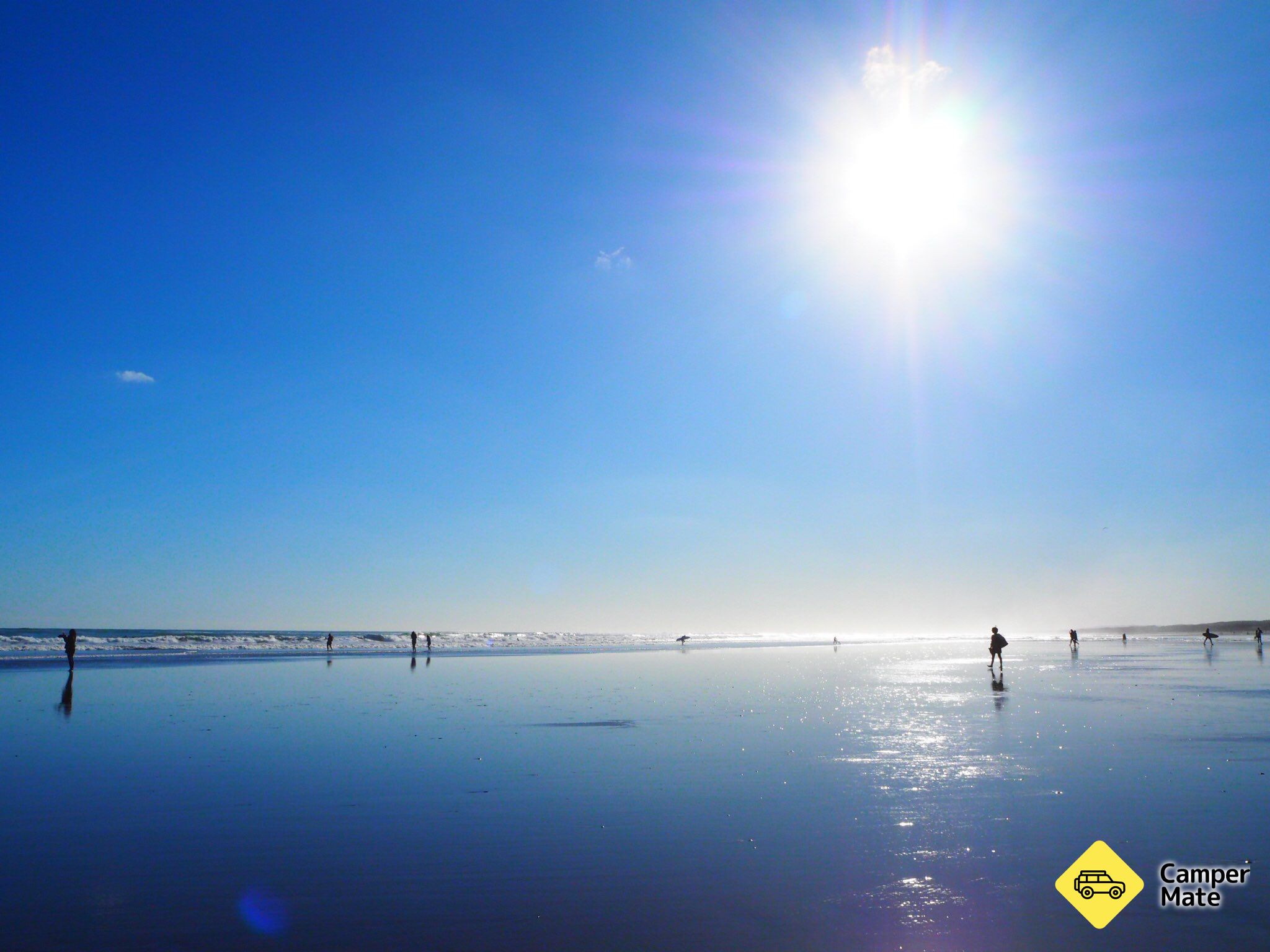 Muriwai Beach - Image 3