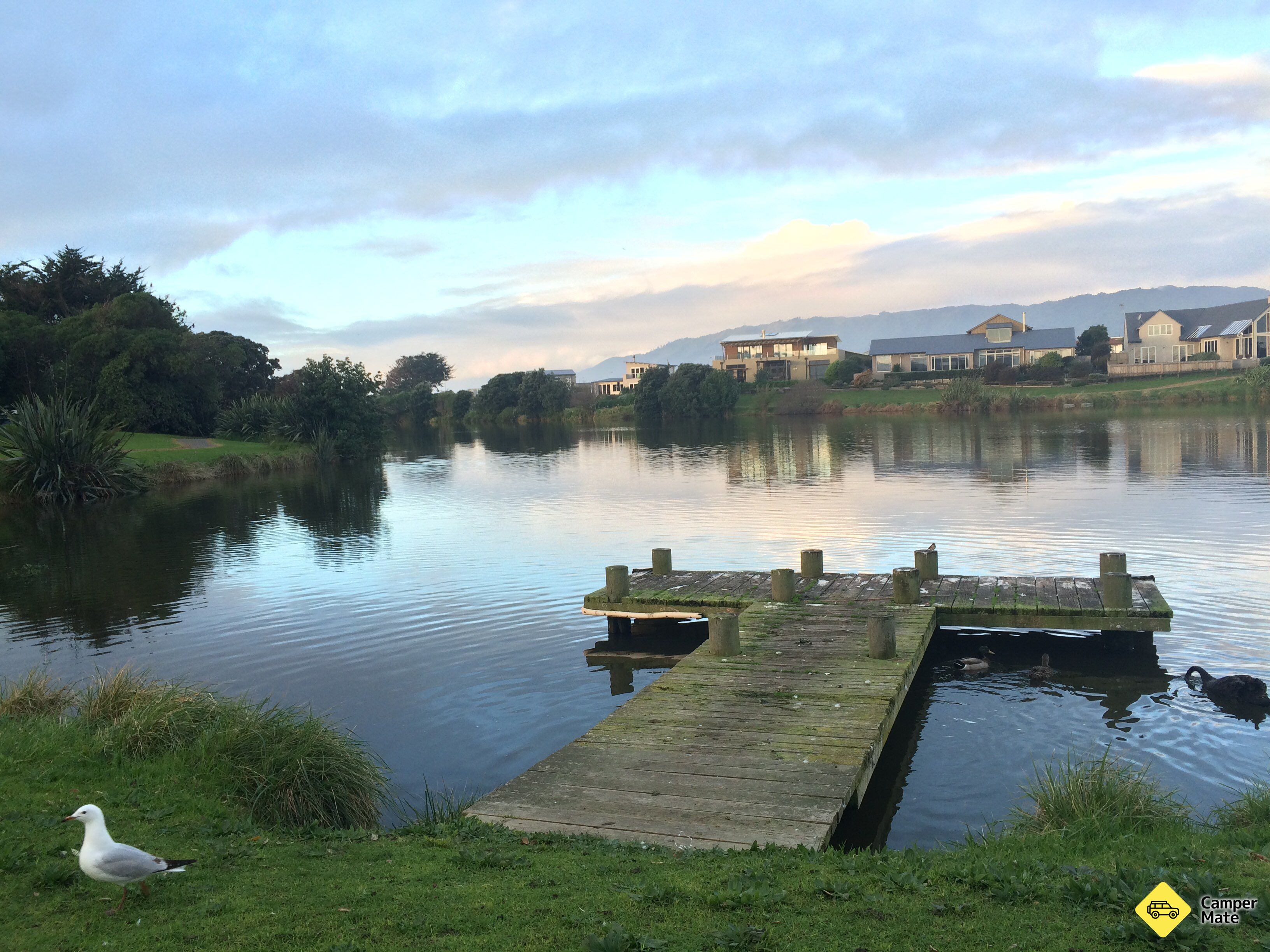 Waikanae River Mouth Carpark - Image 2