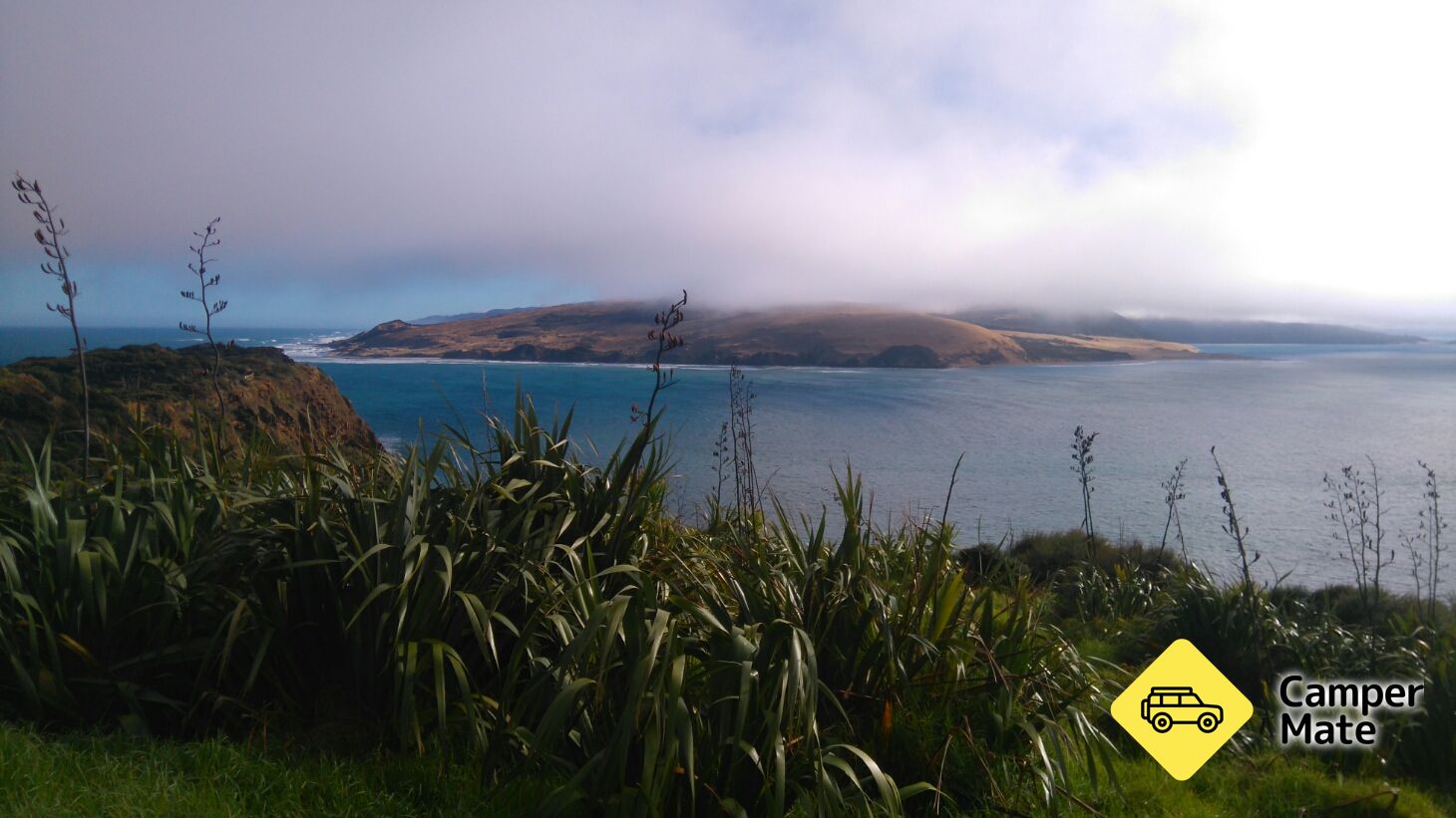 Arai Te Uru Scenic Lookout - Image 2