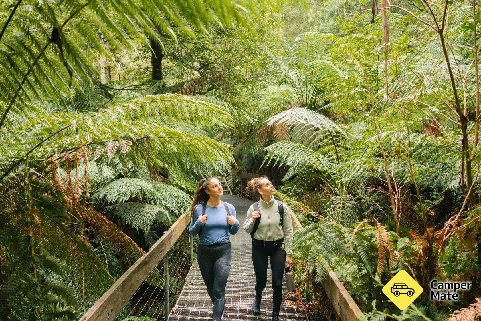 Rainforest Gallery 