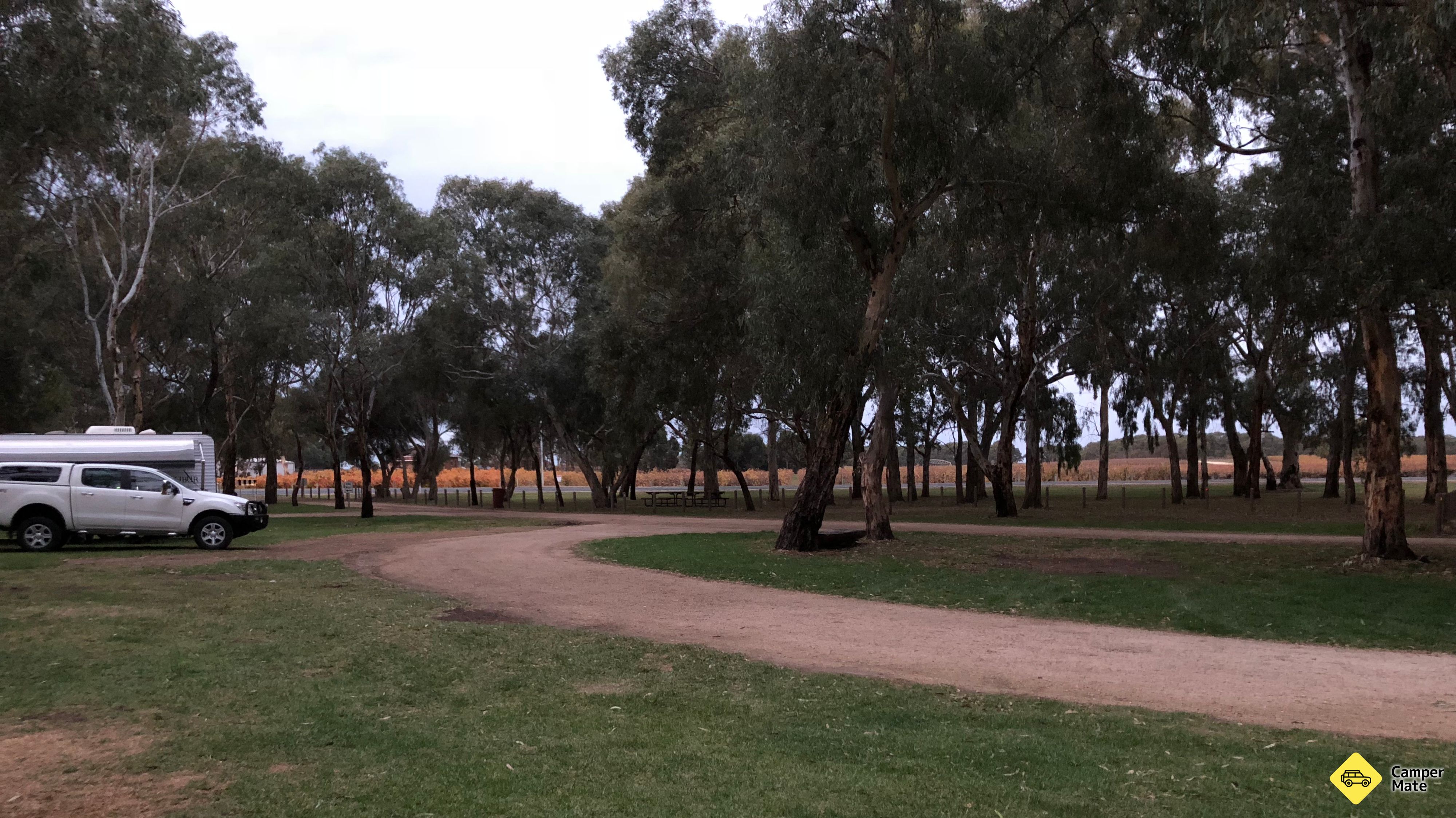 Frank Potts Reserve