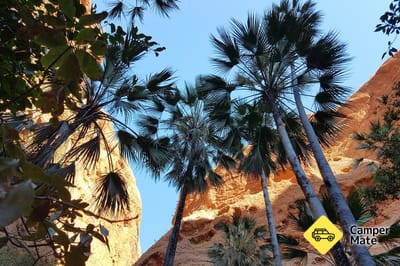 Mini Palms Gorge Trail