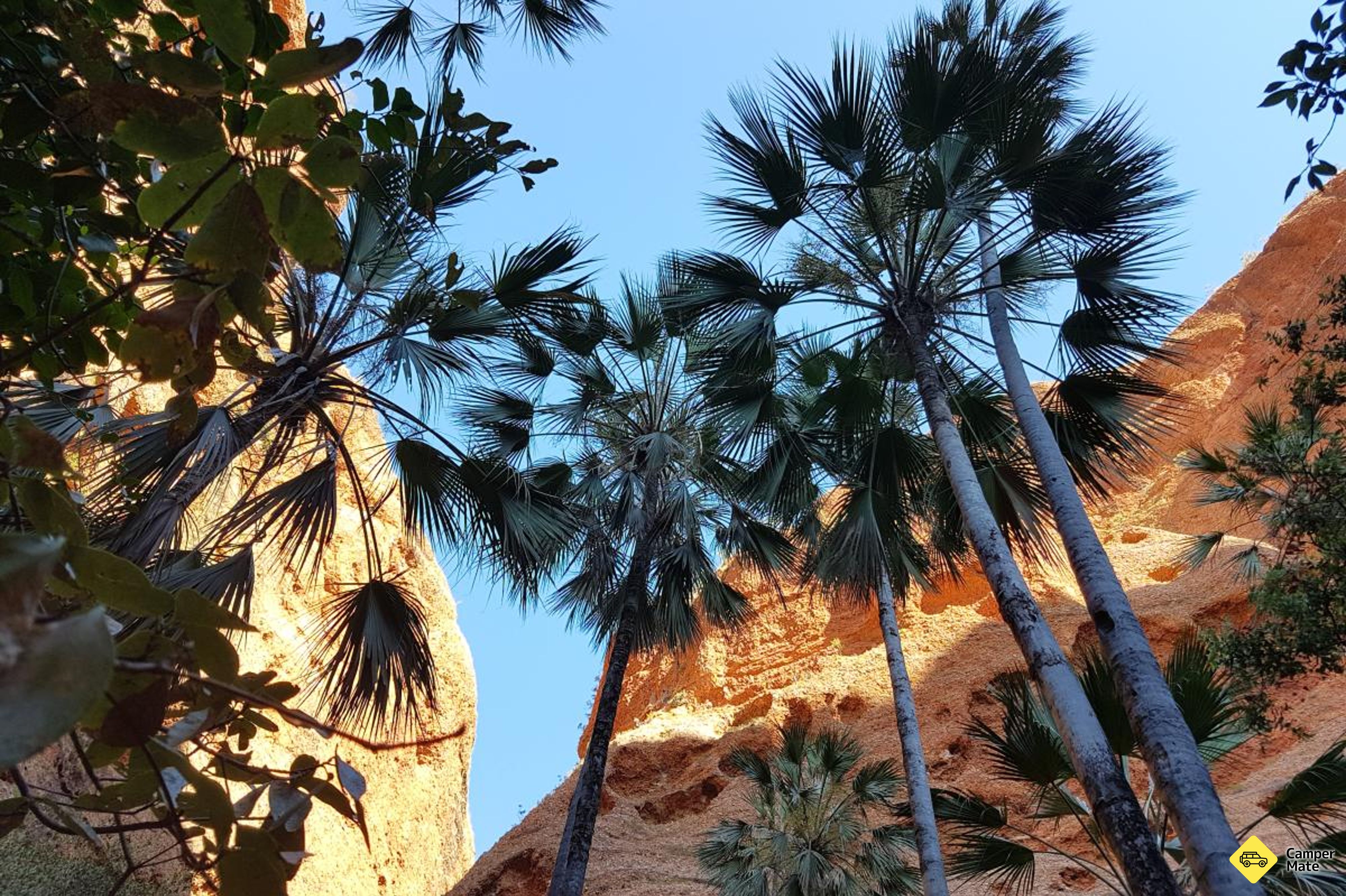 Mini Palms Gorge Trail på vej