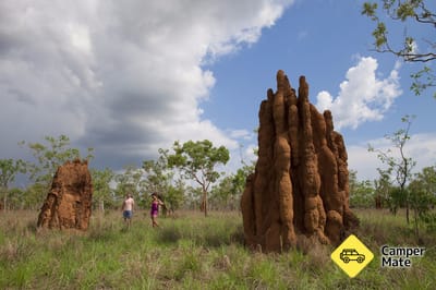 Magnetiska Termite Mounds