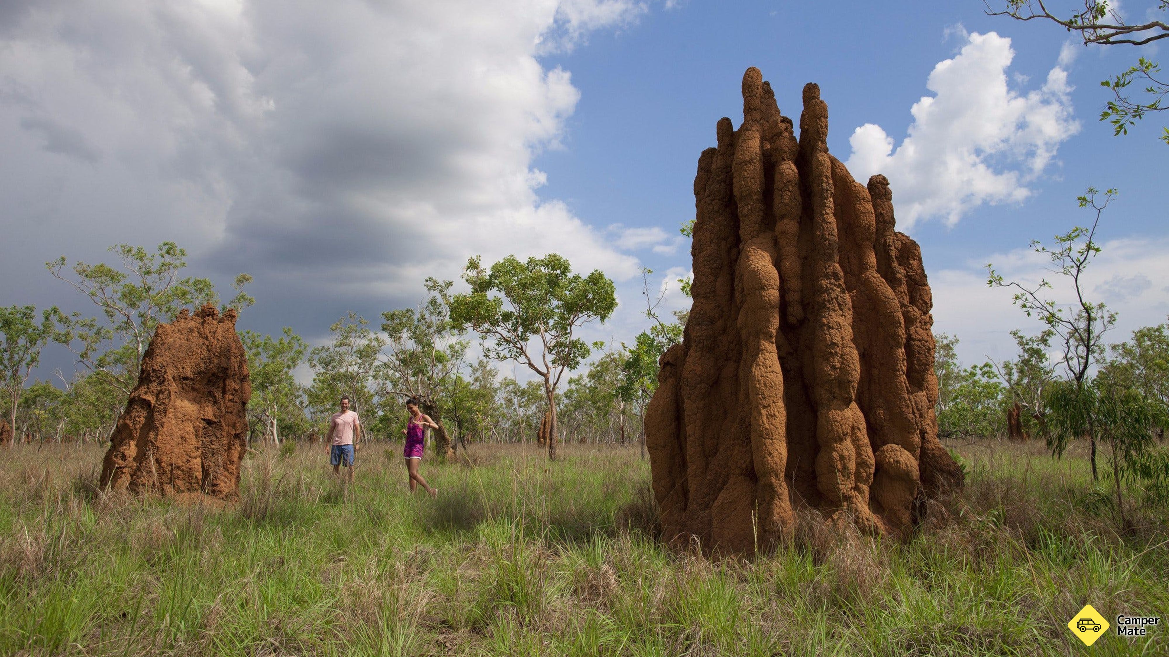 Magnetiska Termite Mounds