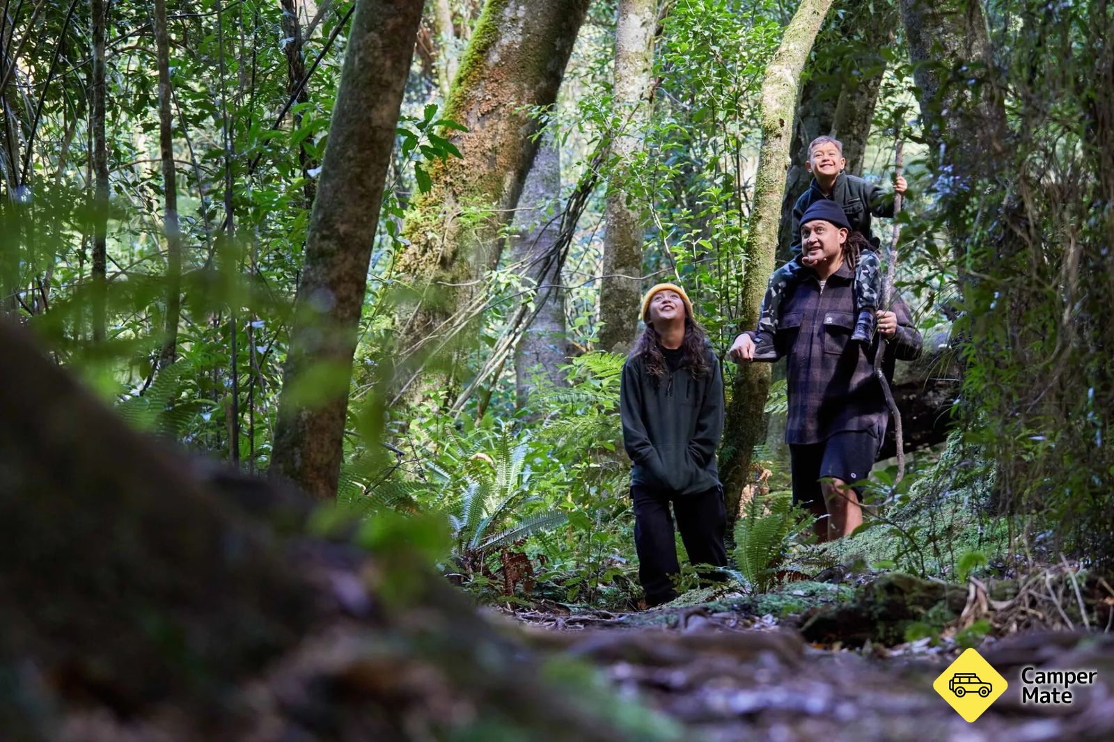 Ōtanewainuku Forest