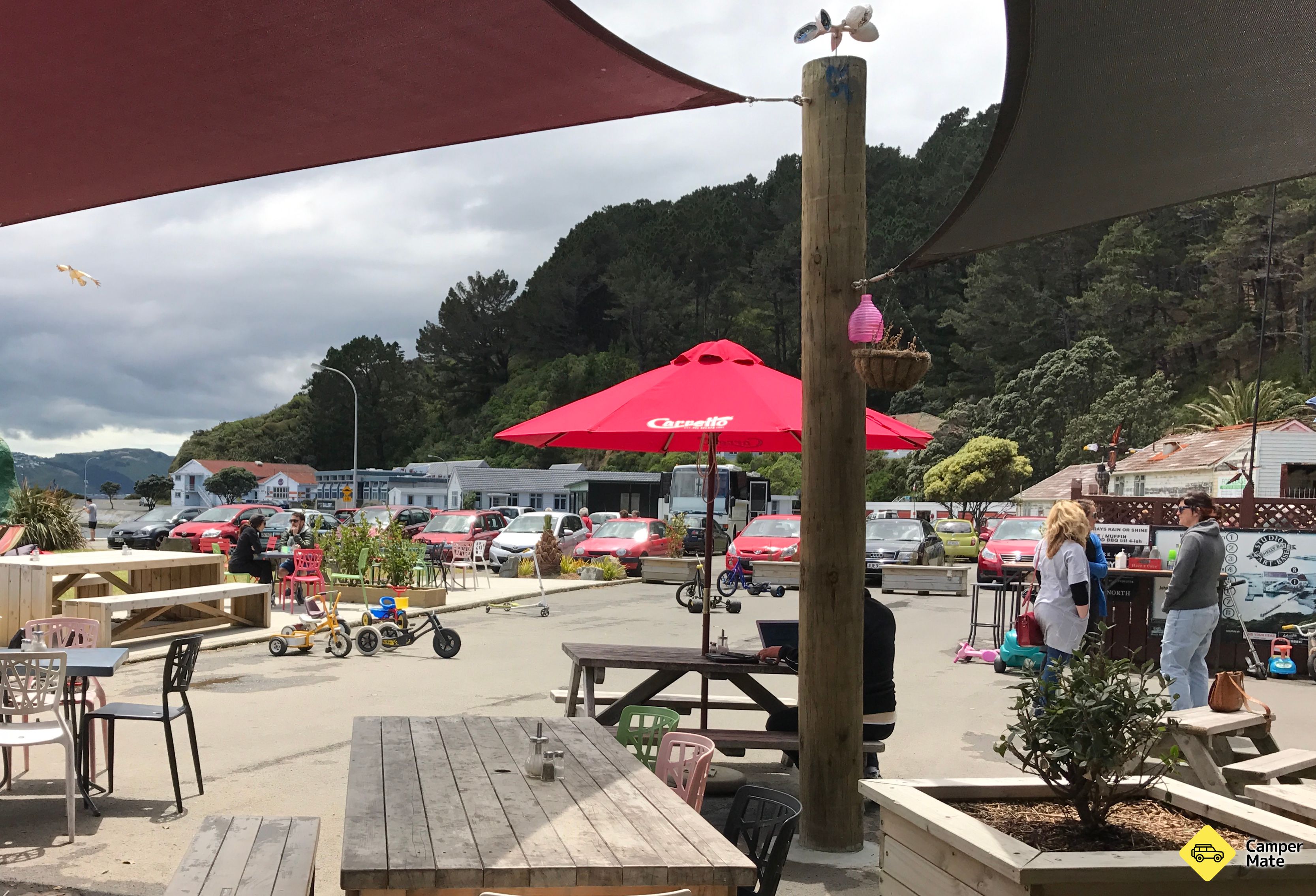 Chocolate Fish Cafe , Wellington, Wellington, New Zealand | CamperMate ...