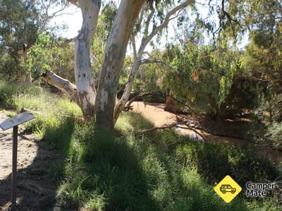 The Bulloo River Walk