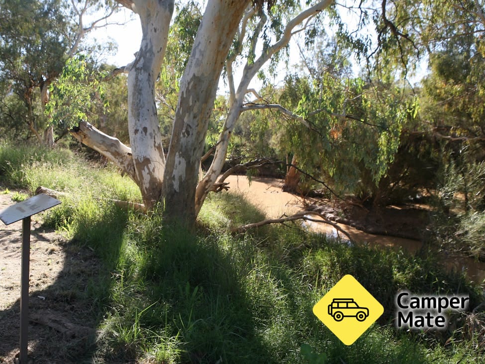 The Bulloo River Walk