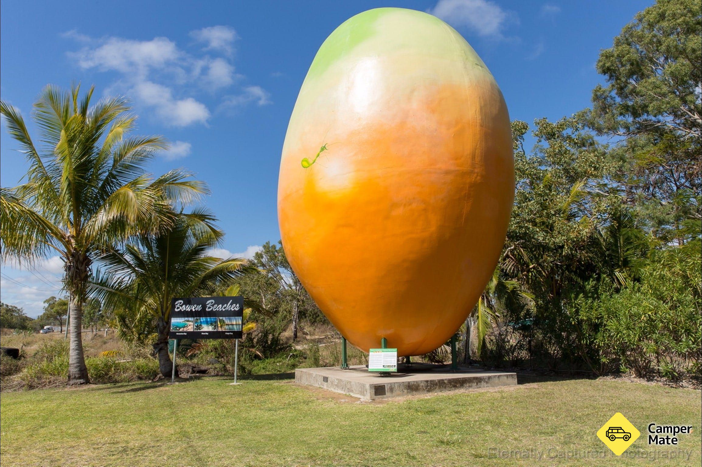 Big Mango