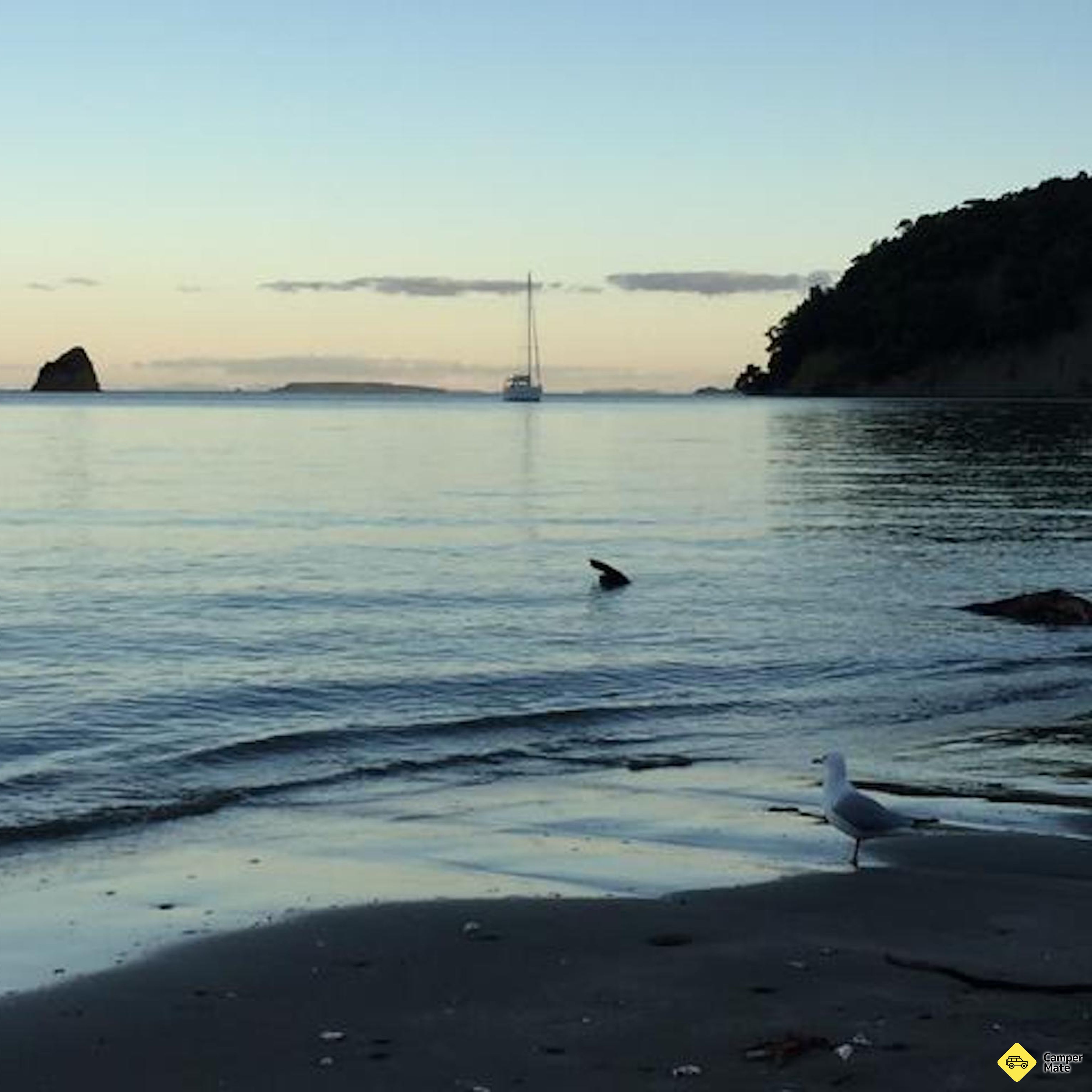Sullivan's Bay Campground and Mahurangi SCC Parking Area - Image 2