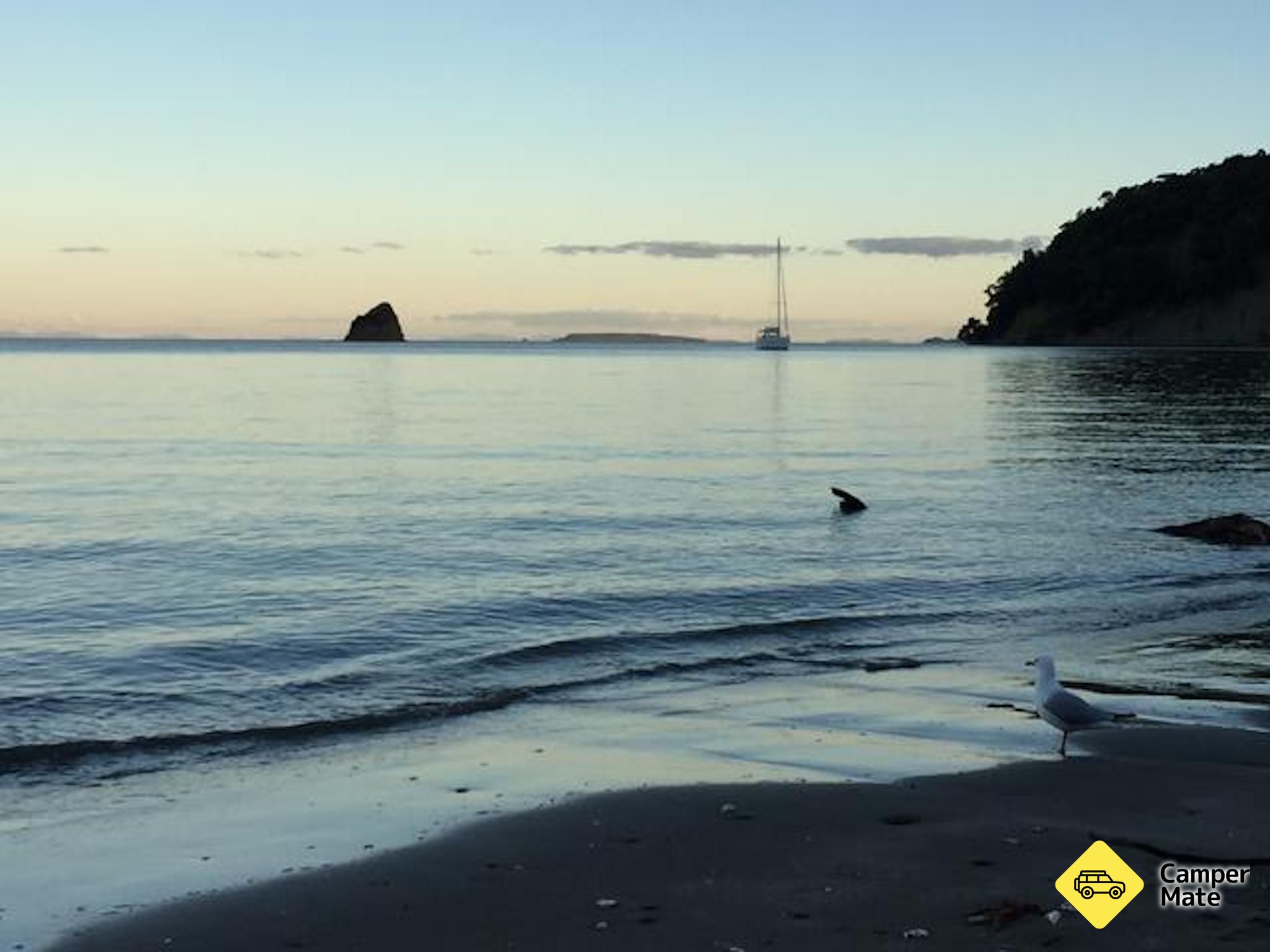 Sullivan's Bay Campground and Mahurangi SCC Parking Area - Image 2