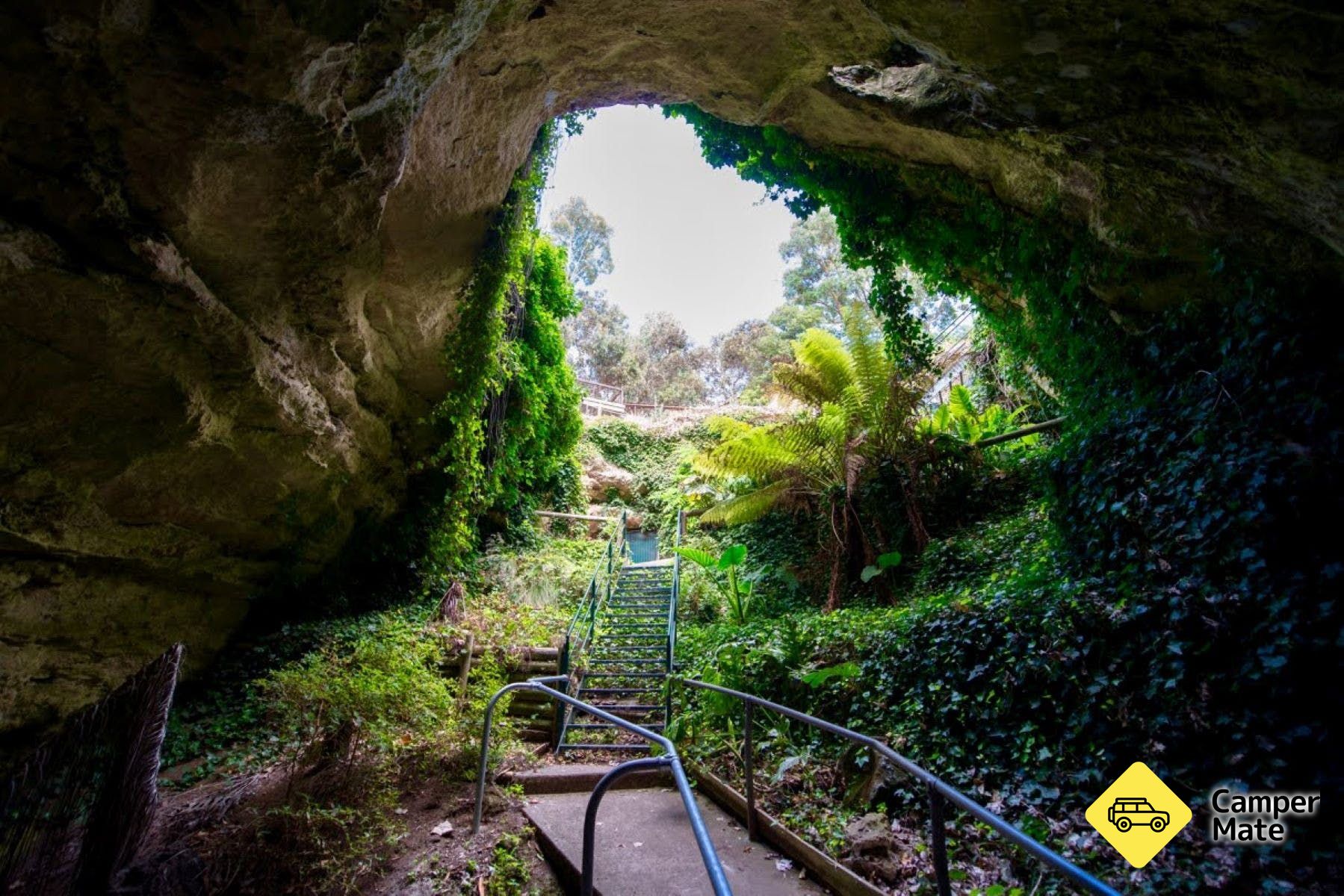 Engelbrecht Cave - Image 2