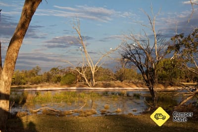 Activiteiten in de omgeving van Bowra Wildlife Sanctuary and Campground