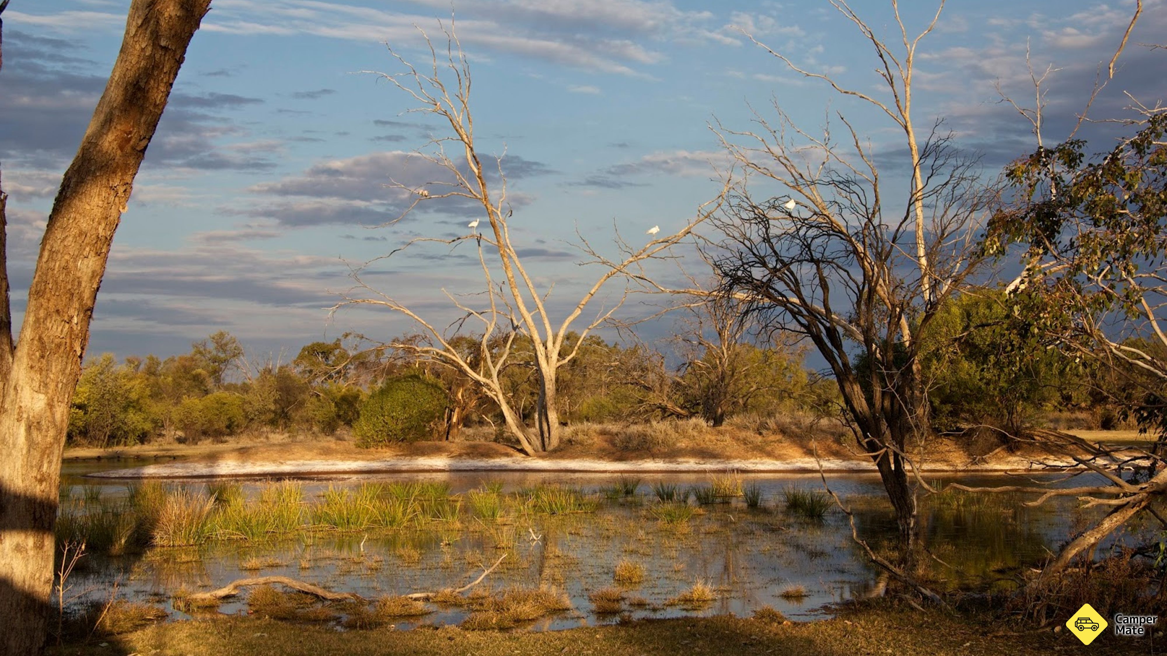 Activiteiten in de omgeving van Bowra Wildlife Sanctuary and Campground