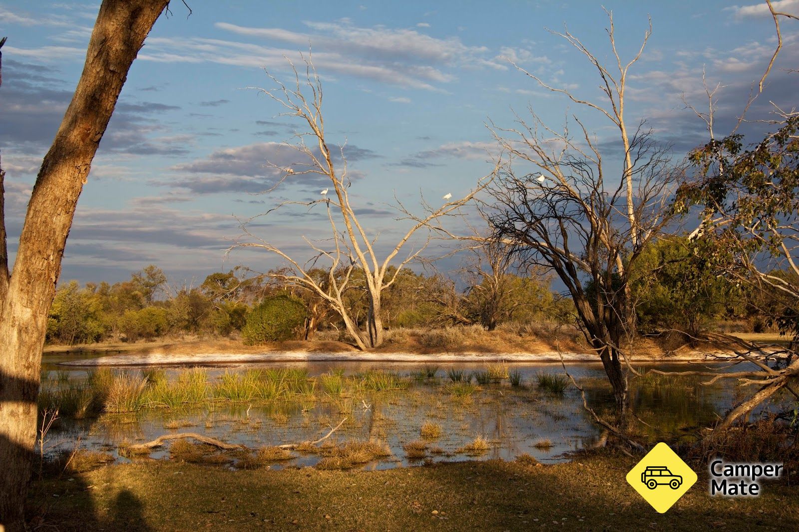 Activiteiten in de omgeving van Bowra Wildlife Sanctuary and Campground