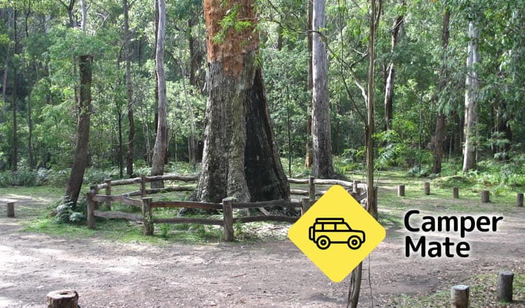 Localização de Six Mile Creek