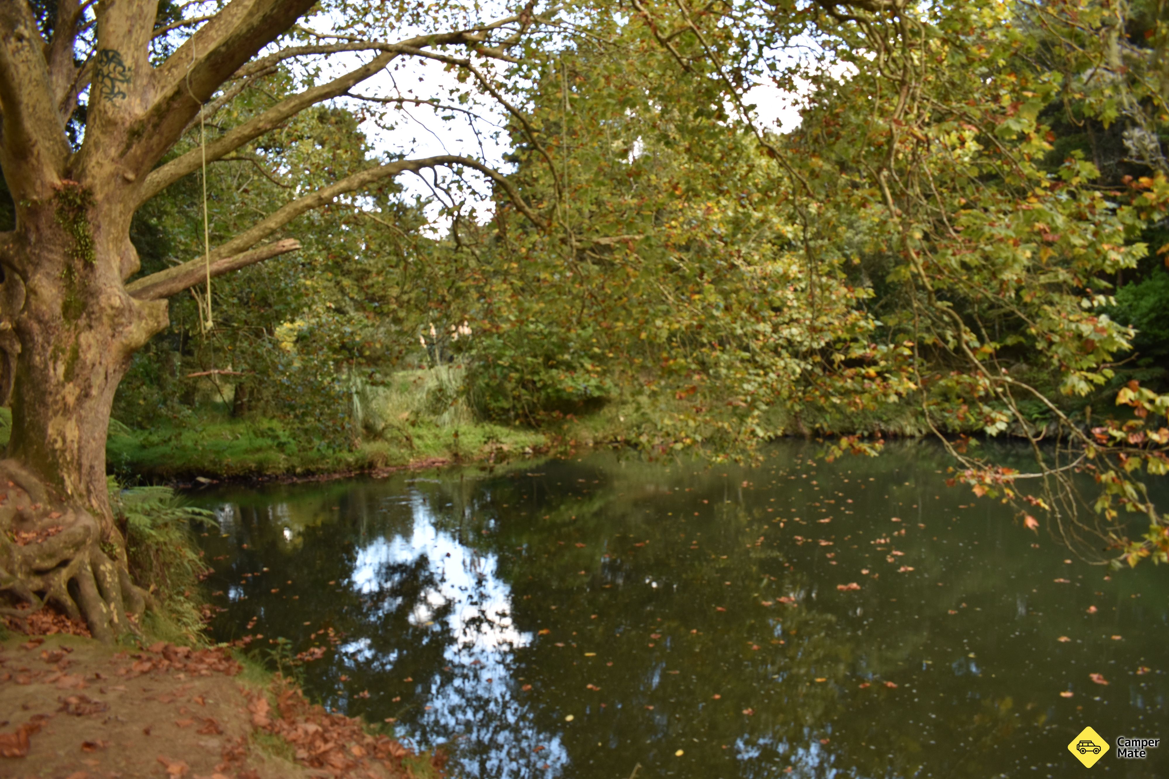 Hatea River Swing and Swim - Image 2