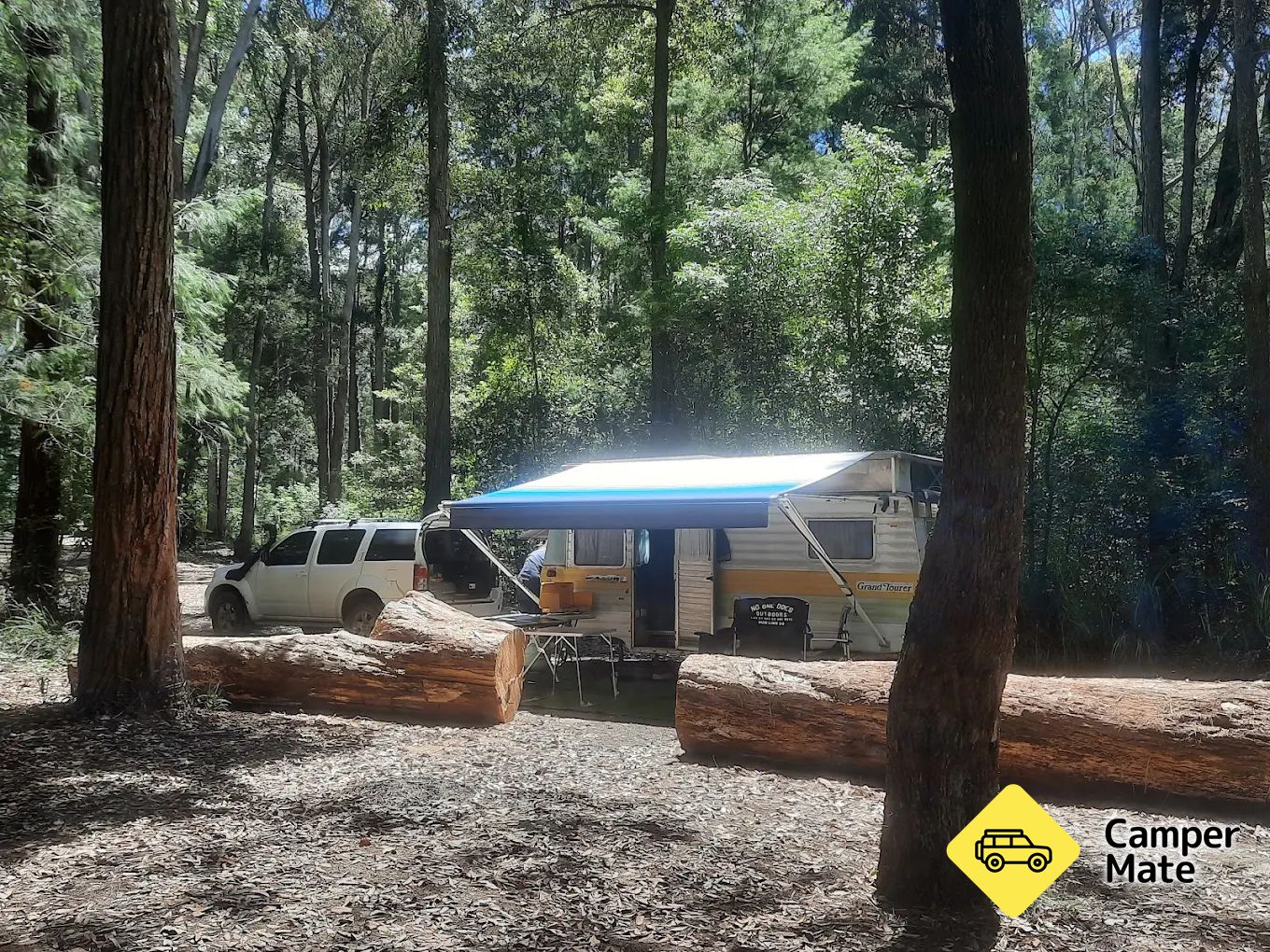 Casuarina camping area