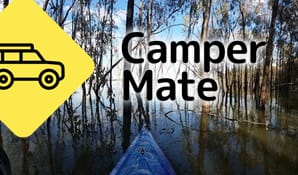 The Willows Camping Area, Yanga National Park - Image 2
