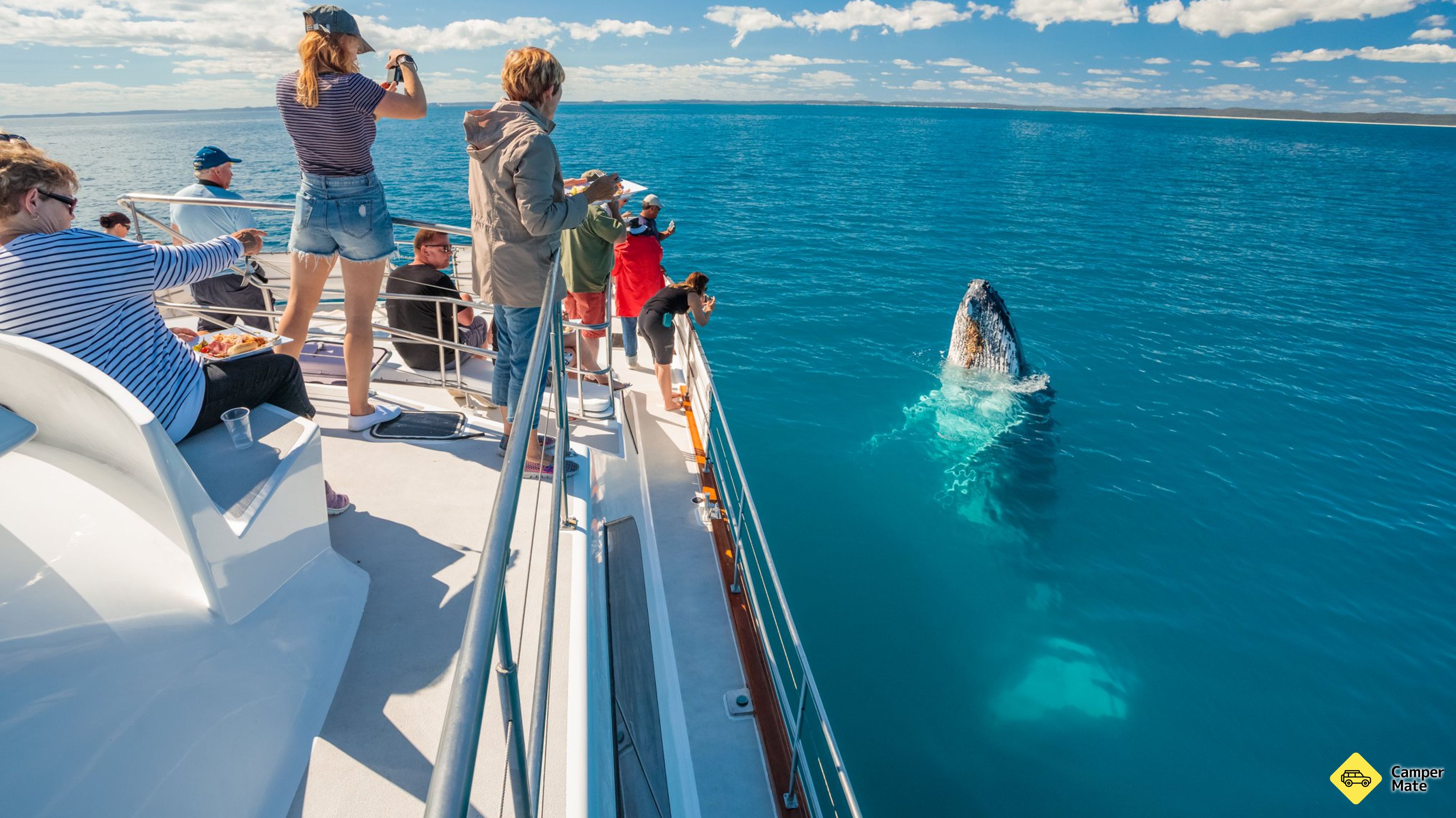 Freedom Whale Watch Hervey Bay