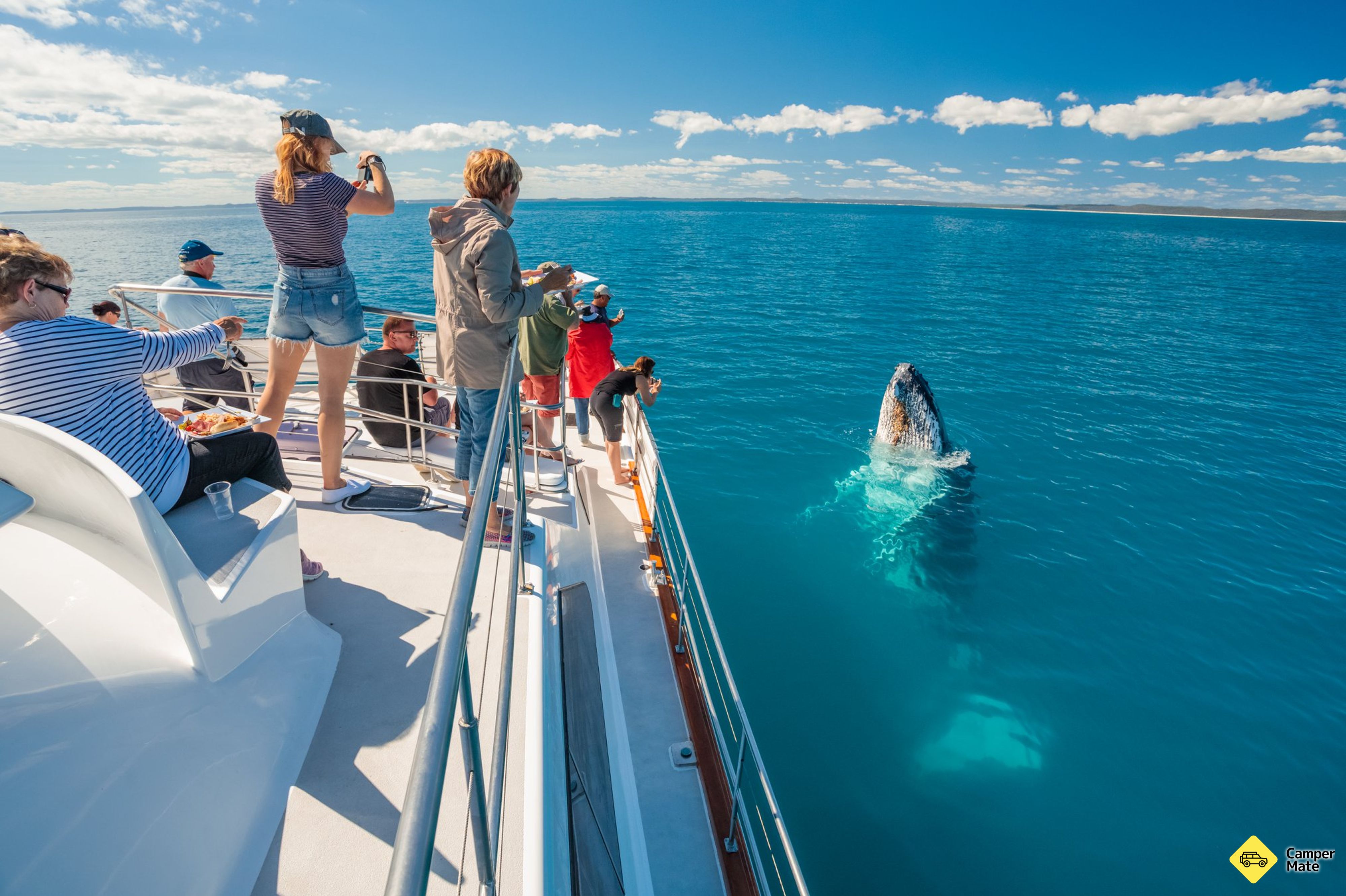 Freedom Whale Watch von Hervey Bay