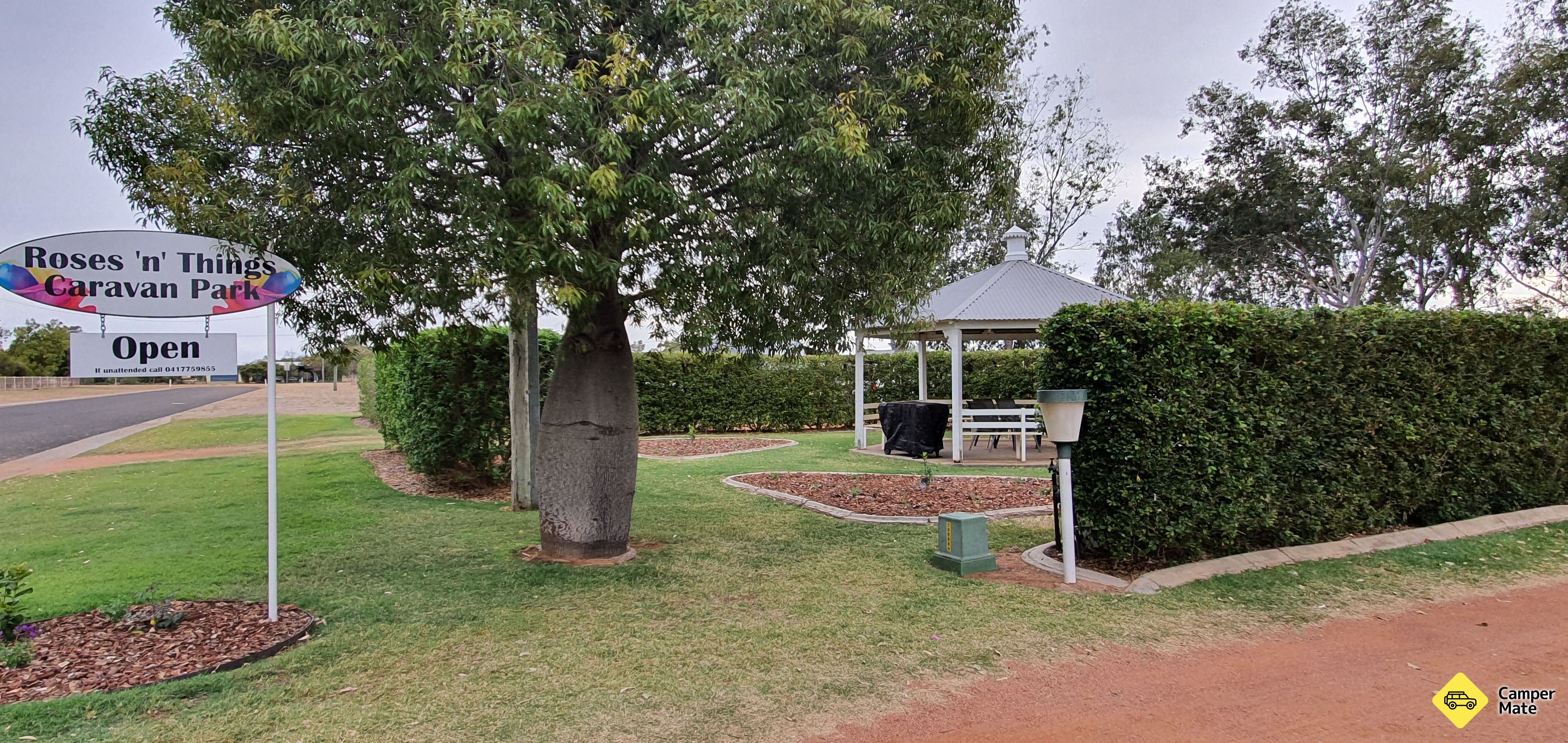 Roses N' Things Caravan Park and Tea Garden - Image 3
