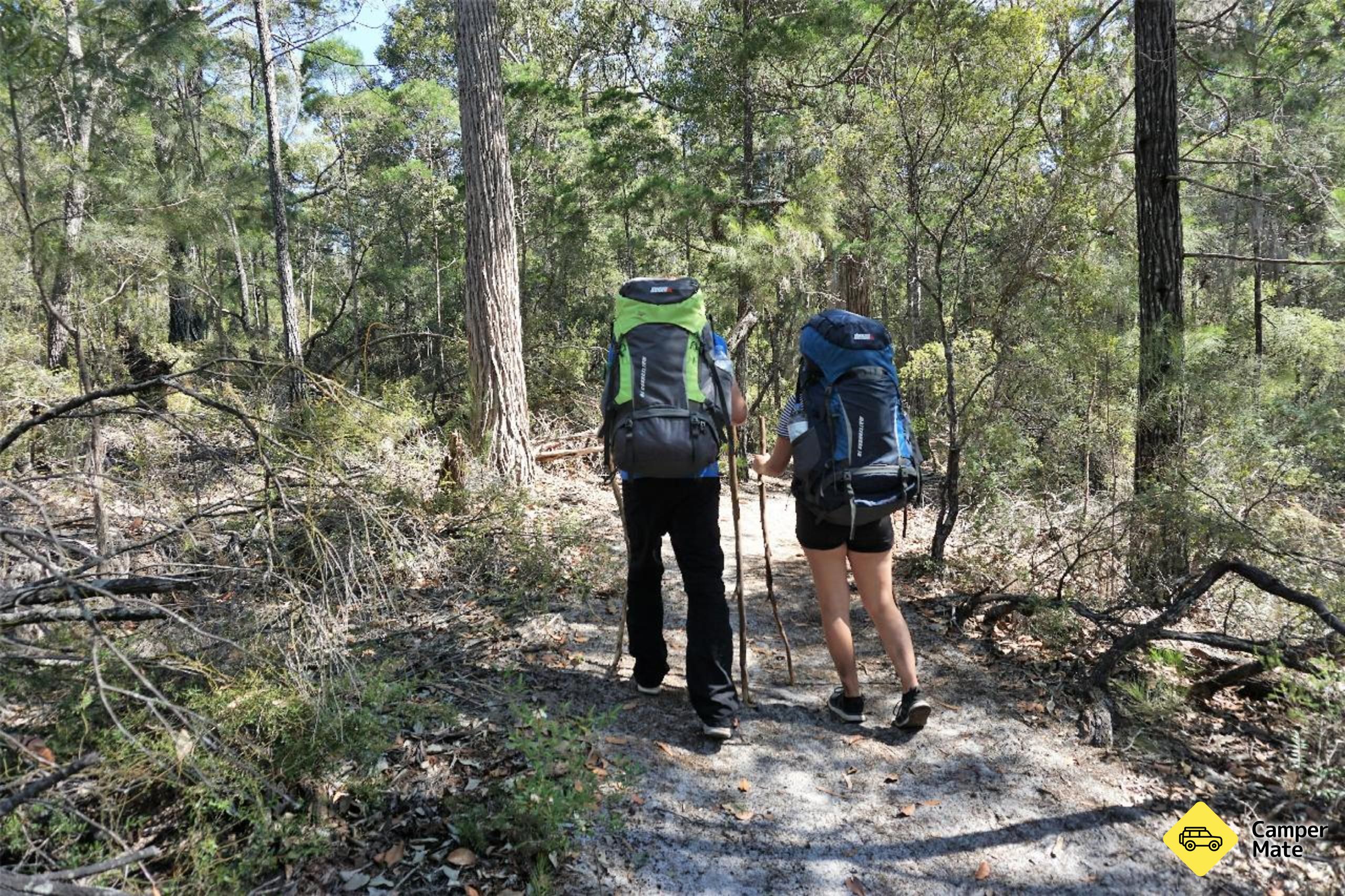 Fraser Island 4WD Adventures - Image 3
