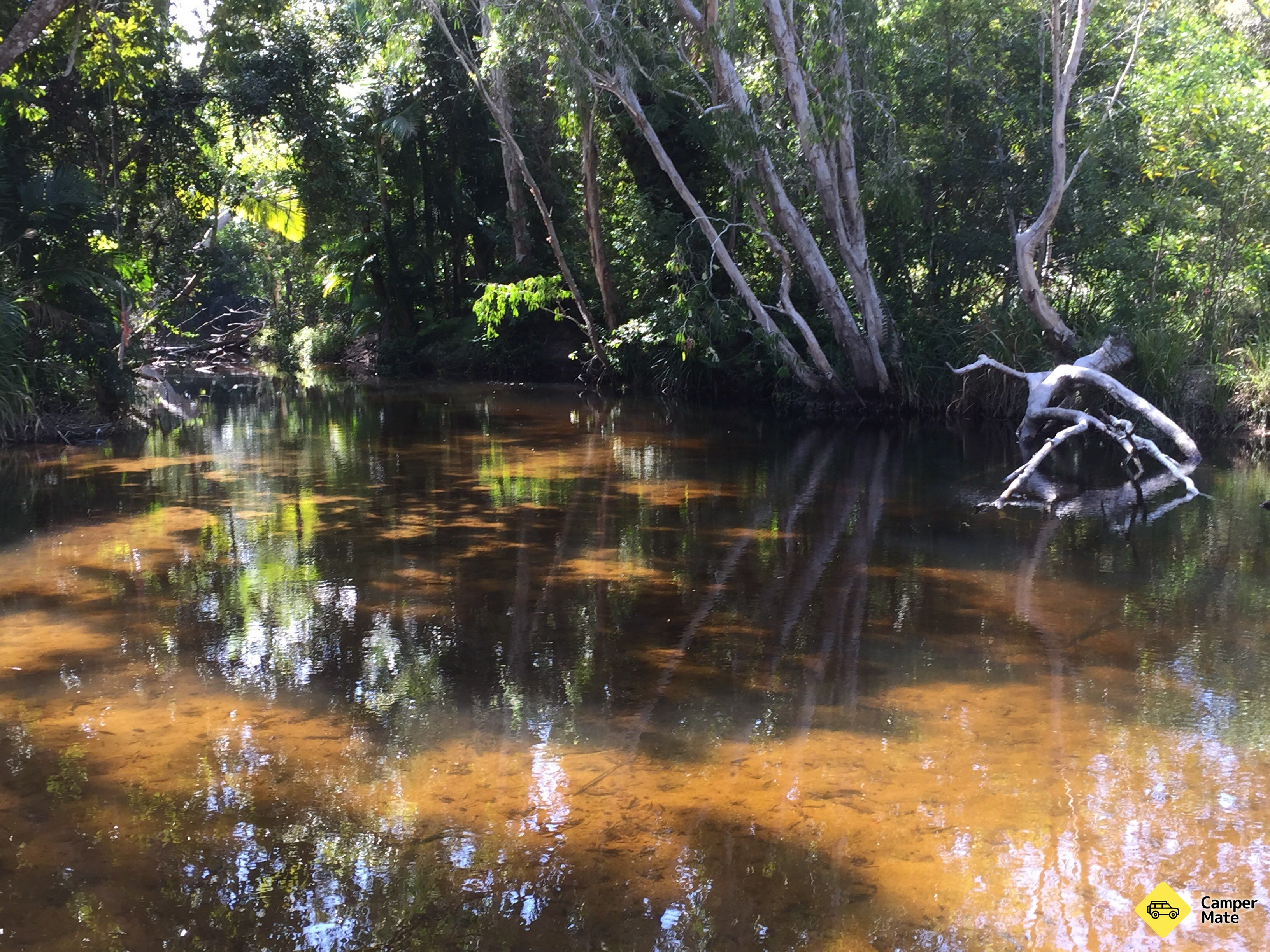 Water Park Creek Campground - Image 2