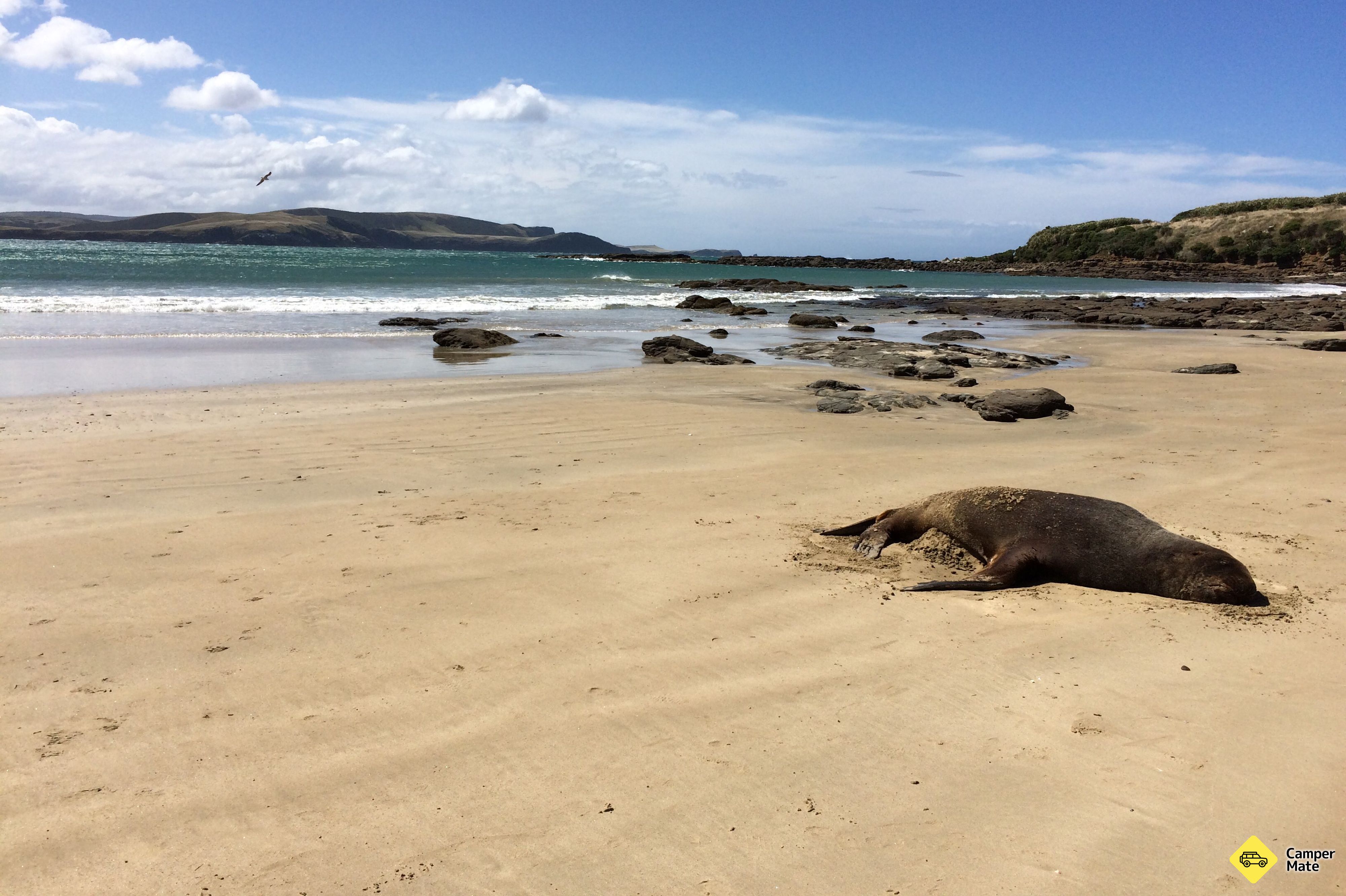 Curio Beach - Image 3