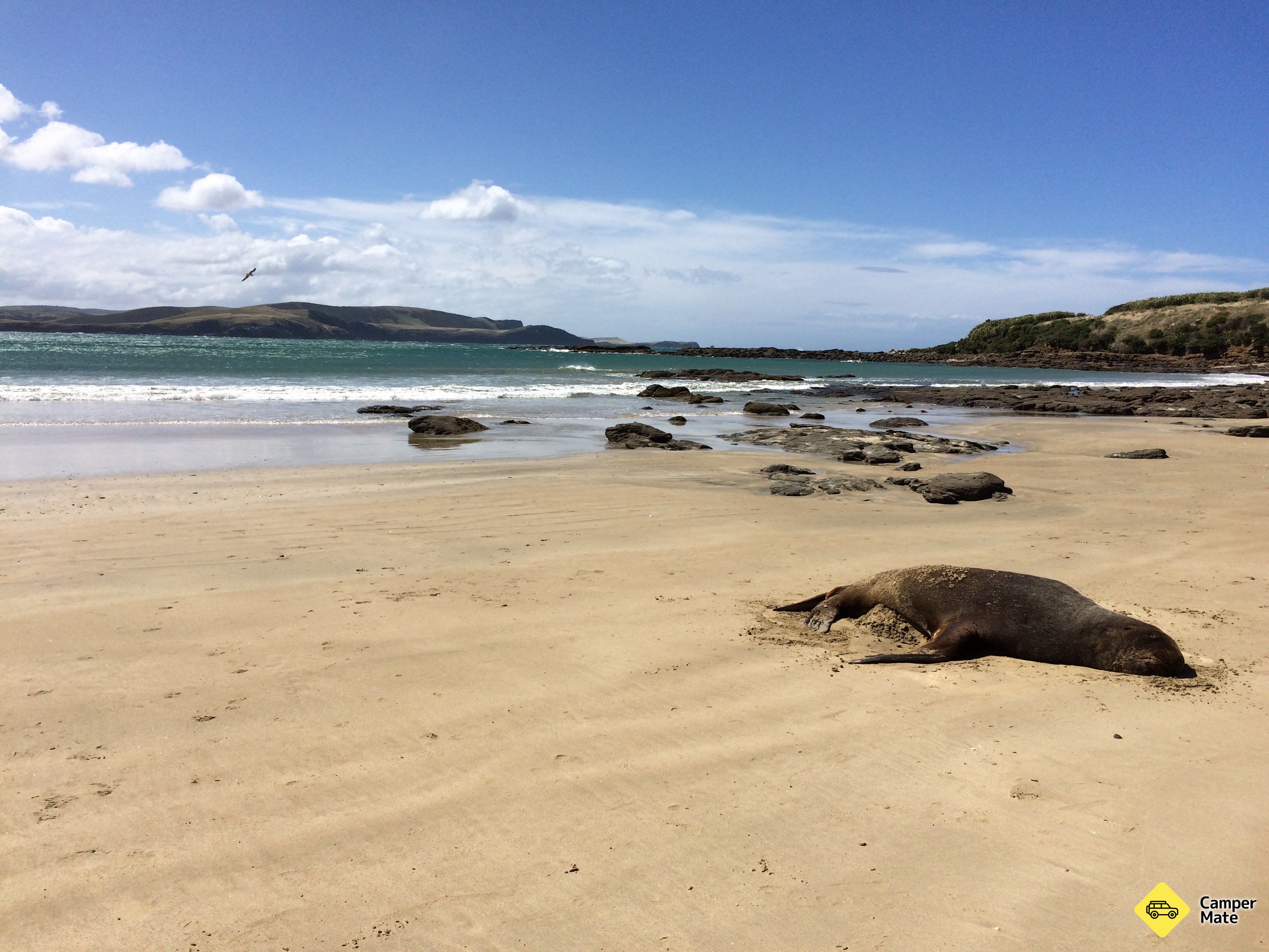 Curio Beach - Image 3