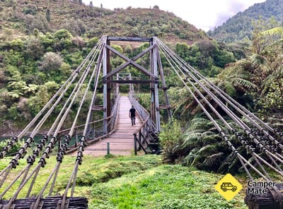 Tauranga Loop Track